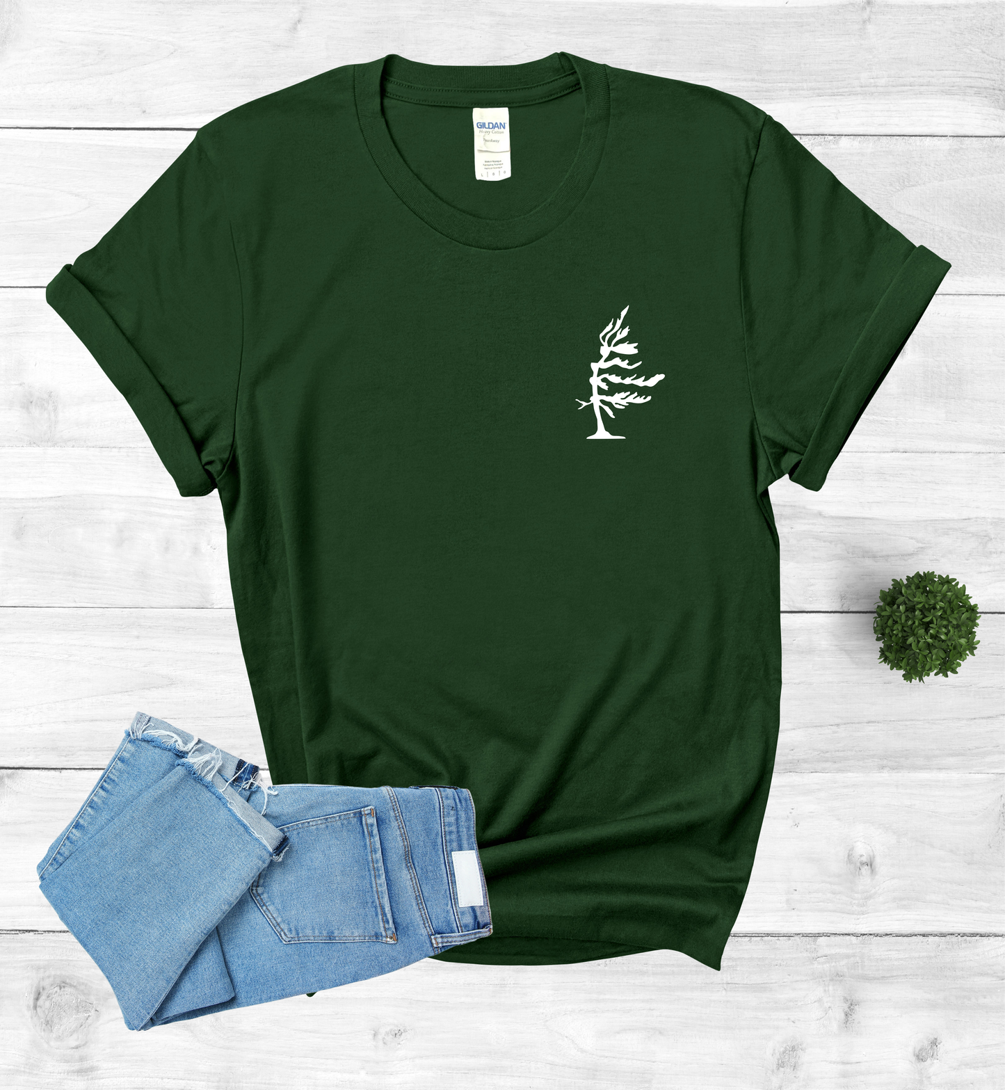 Wind Swept Pine Tree Chest Logo