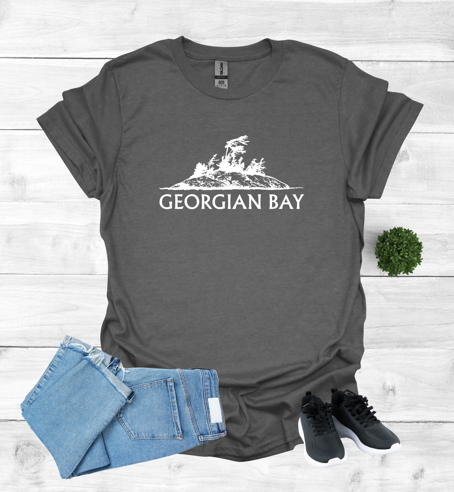 Georgian Bay with a Wind Swept pine tree on a rocky Island