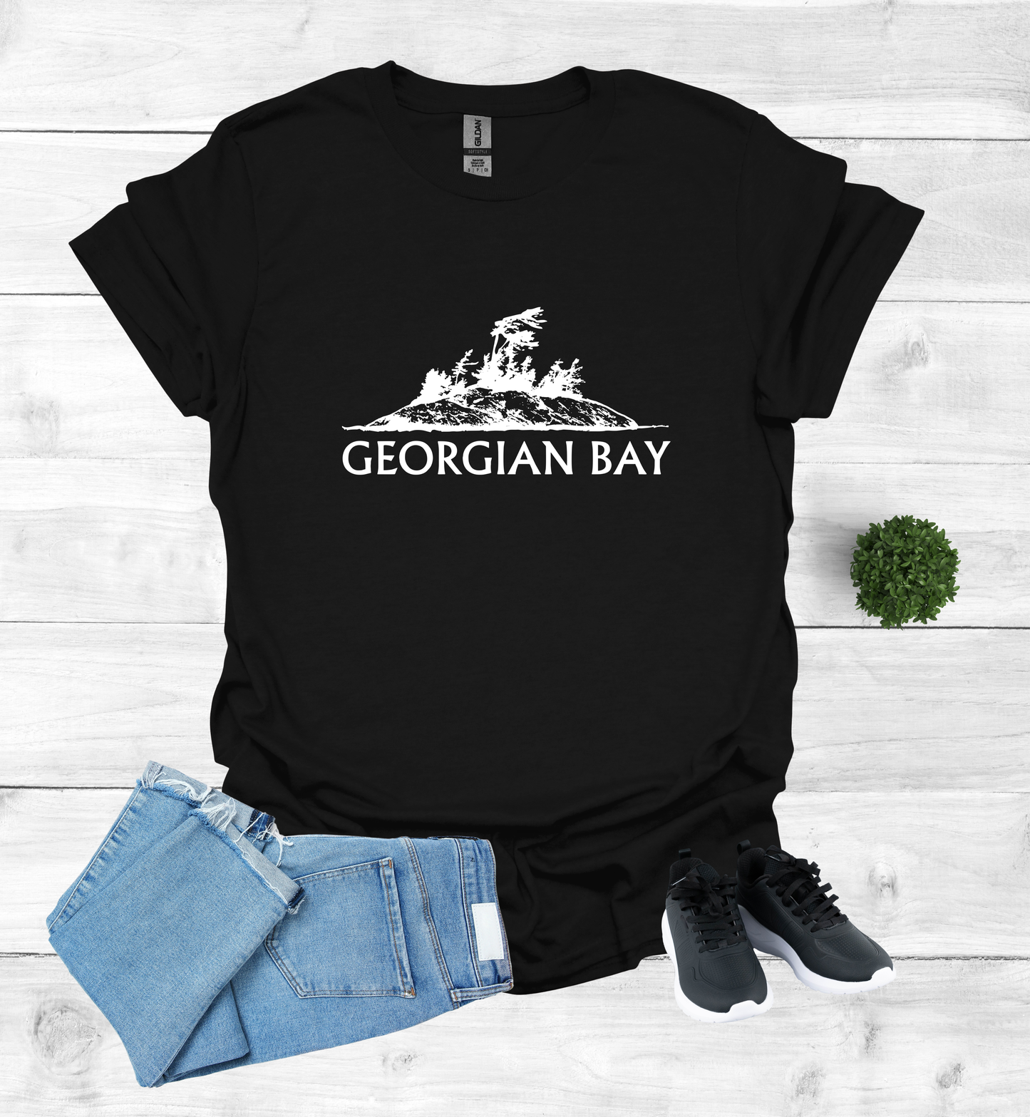 Georgian Bay with a Wind Swept pine tree on a rocky Island