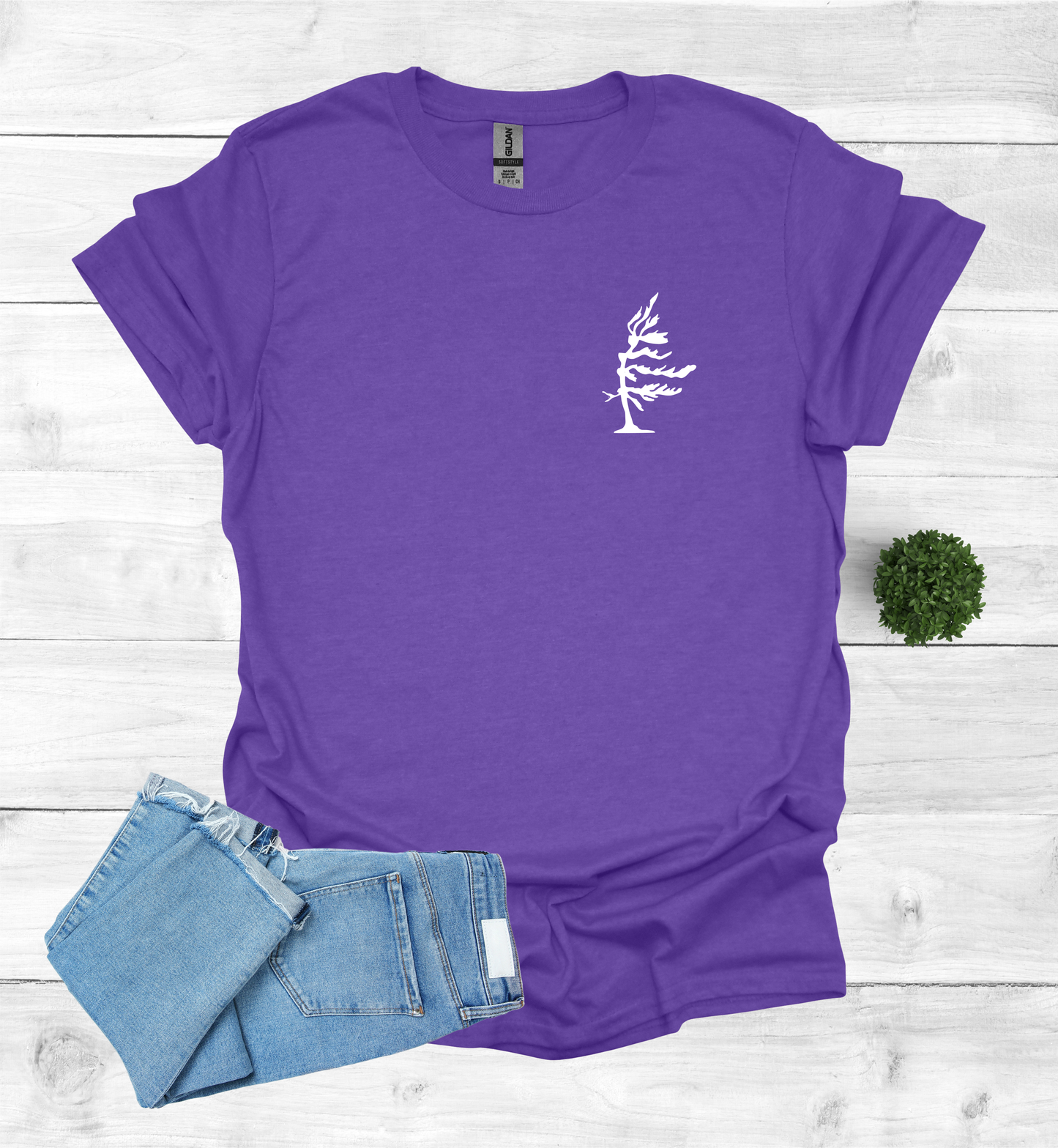 Wind Swept Pine Tree Chest Logo