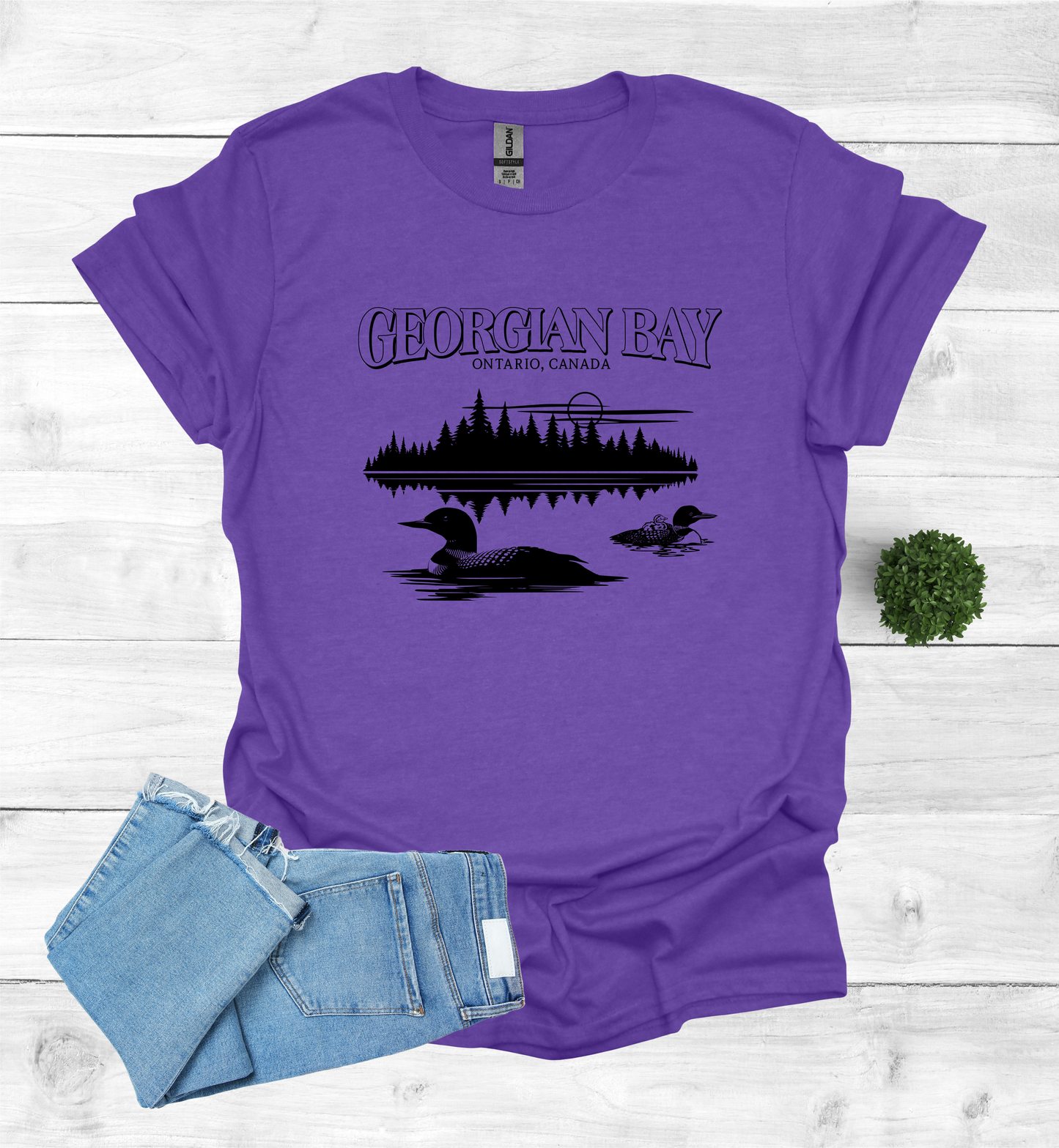 Georgian Bay with Loons T-Shirt