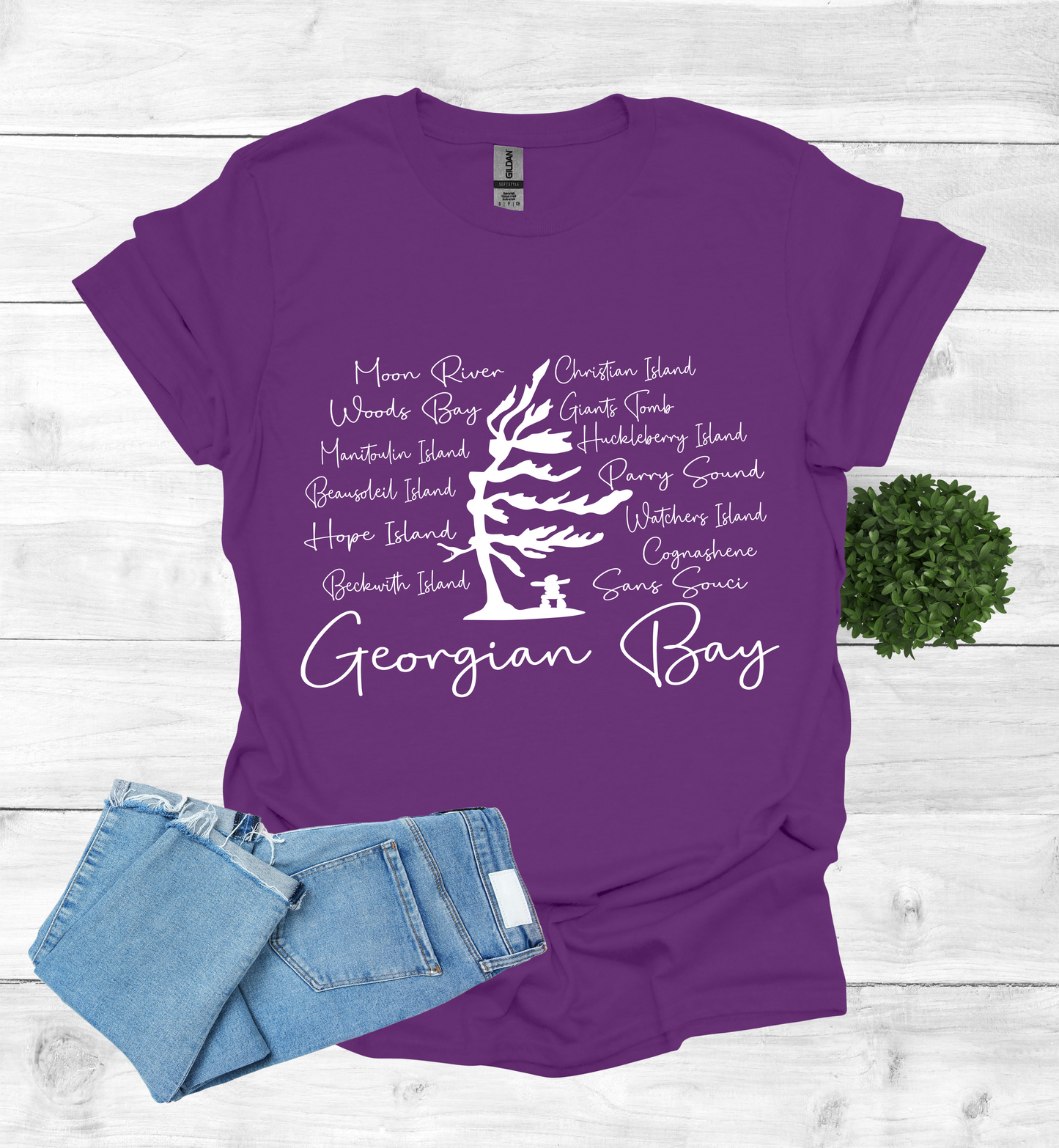 Georgian Bay with wind swept pine tree with Island and Bay names