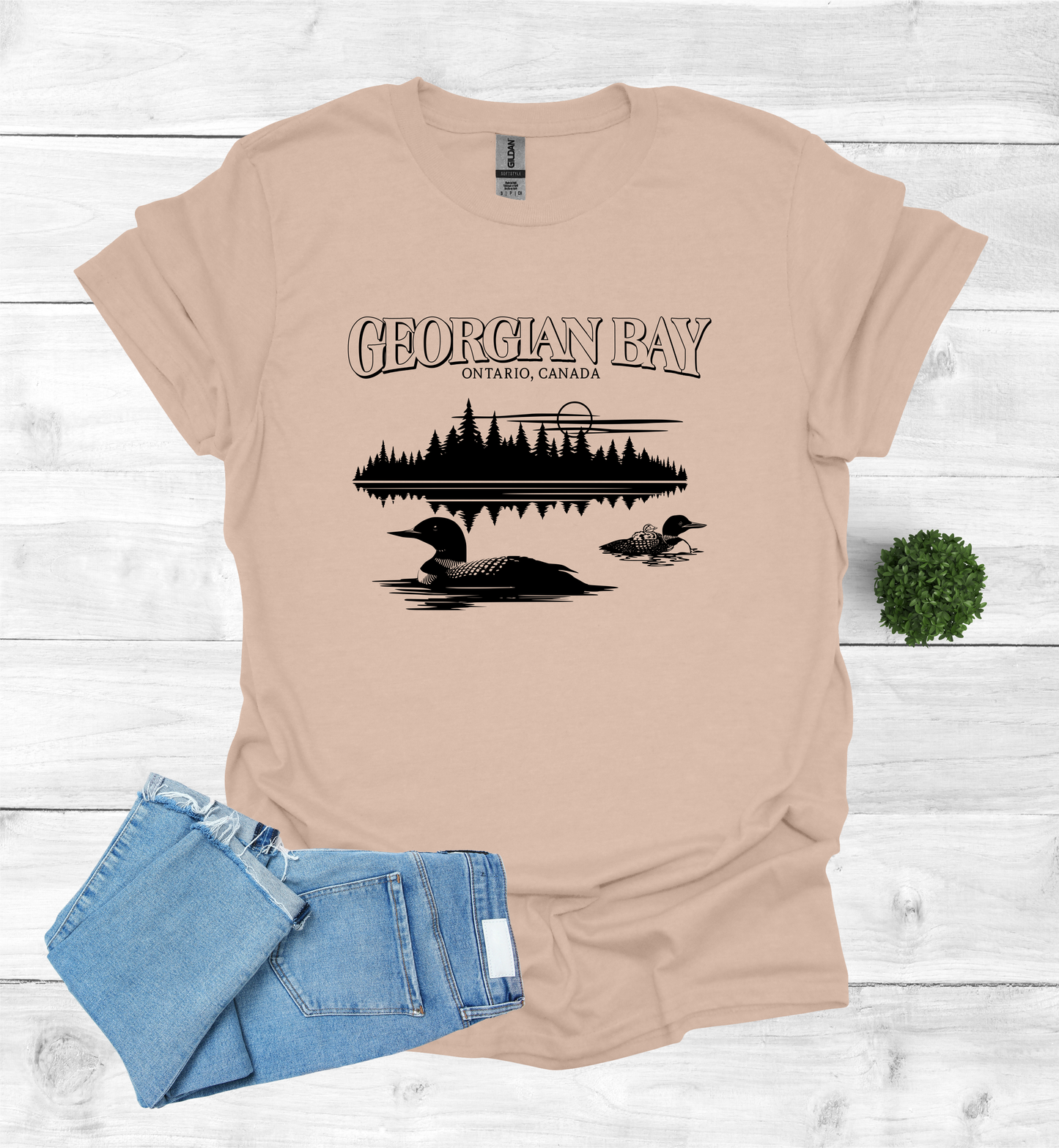Georgian Bay with Loons T-Shirt