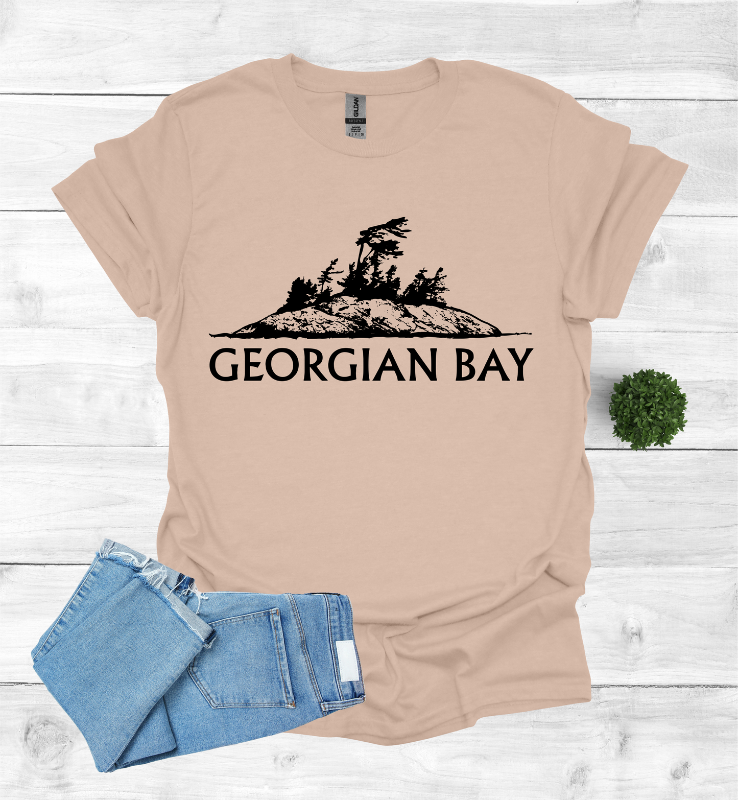 Georgian Bay with a Wind Swept pine tree on a rocky Island