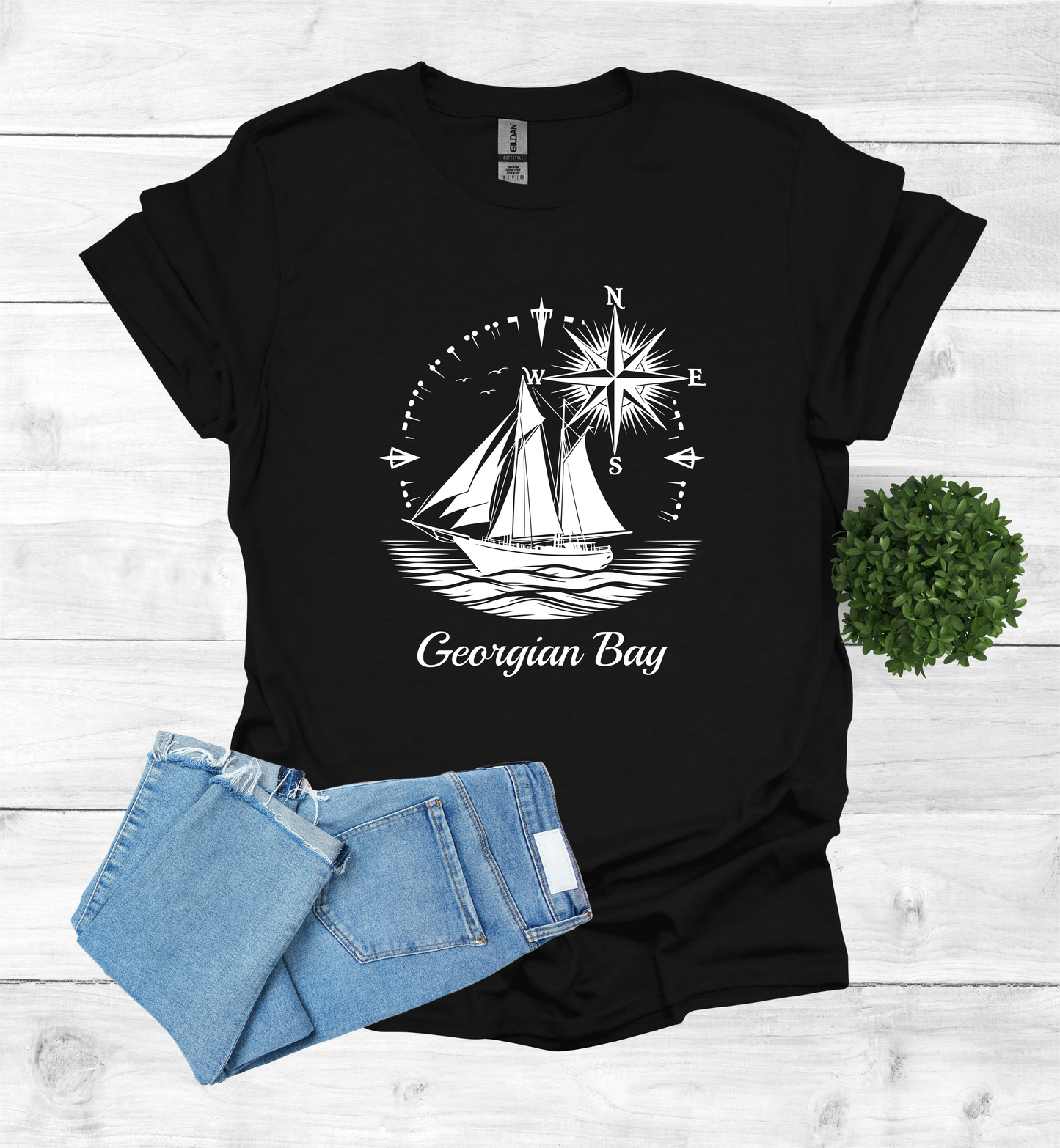 Sail Boat on Georgian Bay