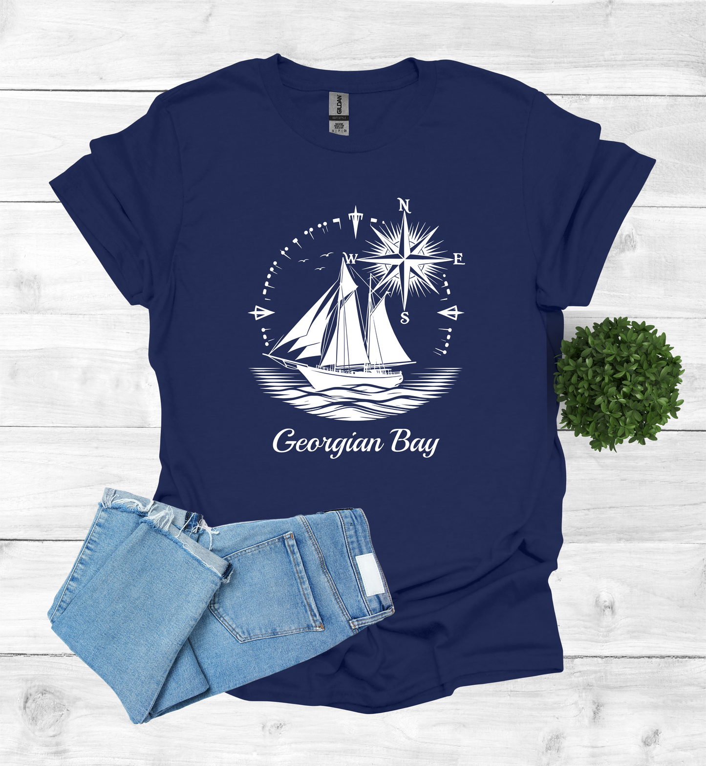 Sail Boat on Georgian Bay