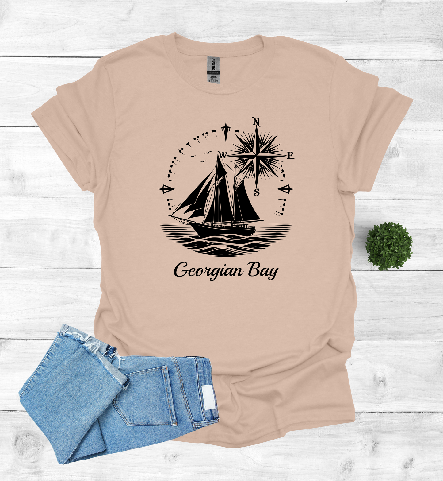 Sail Boat on Georgian Bay