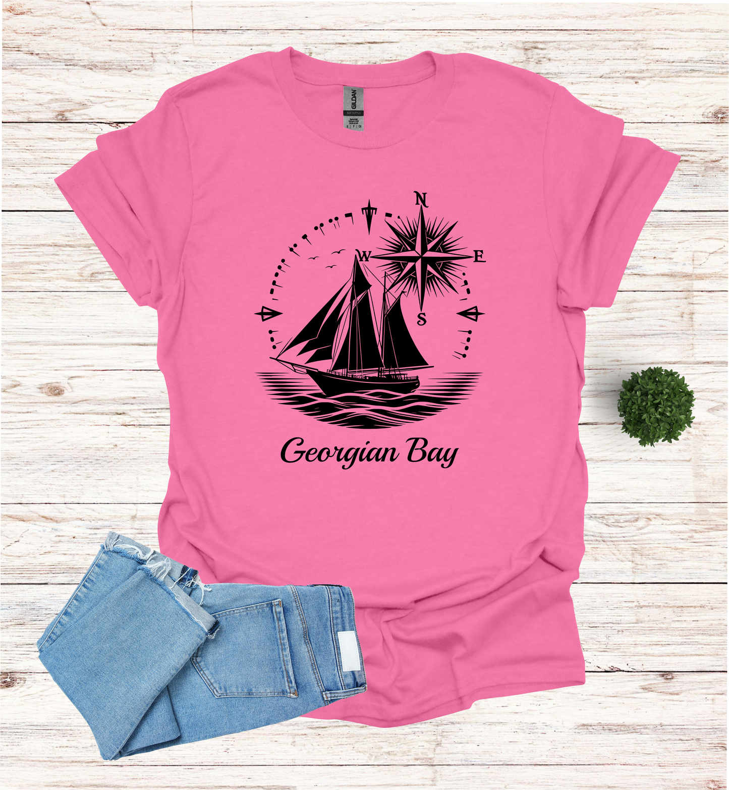 Sail Boat on Georgian Bay