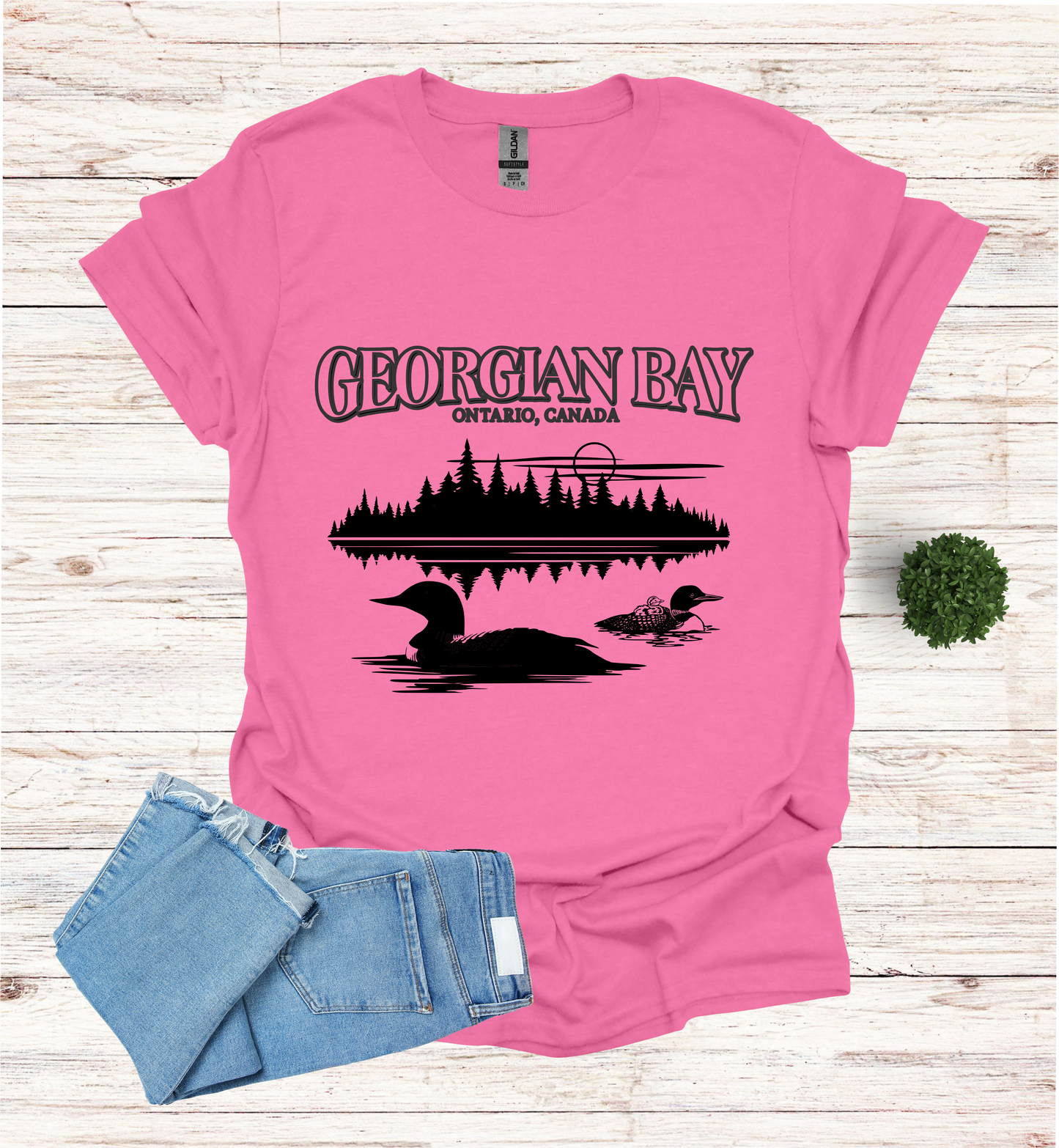 Georgian Bay with Loons T-Shirt