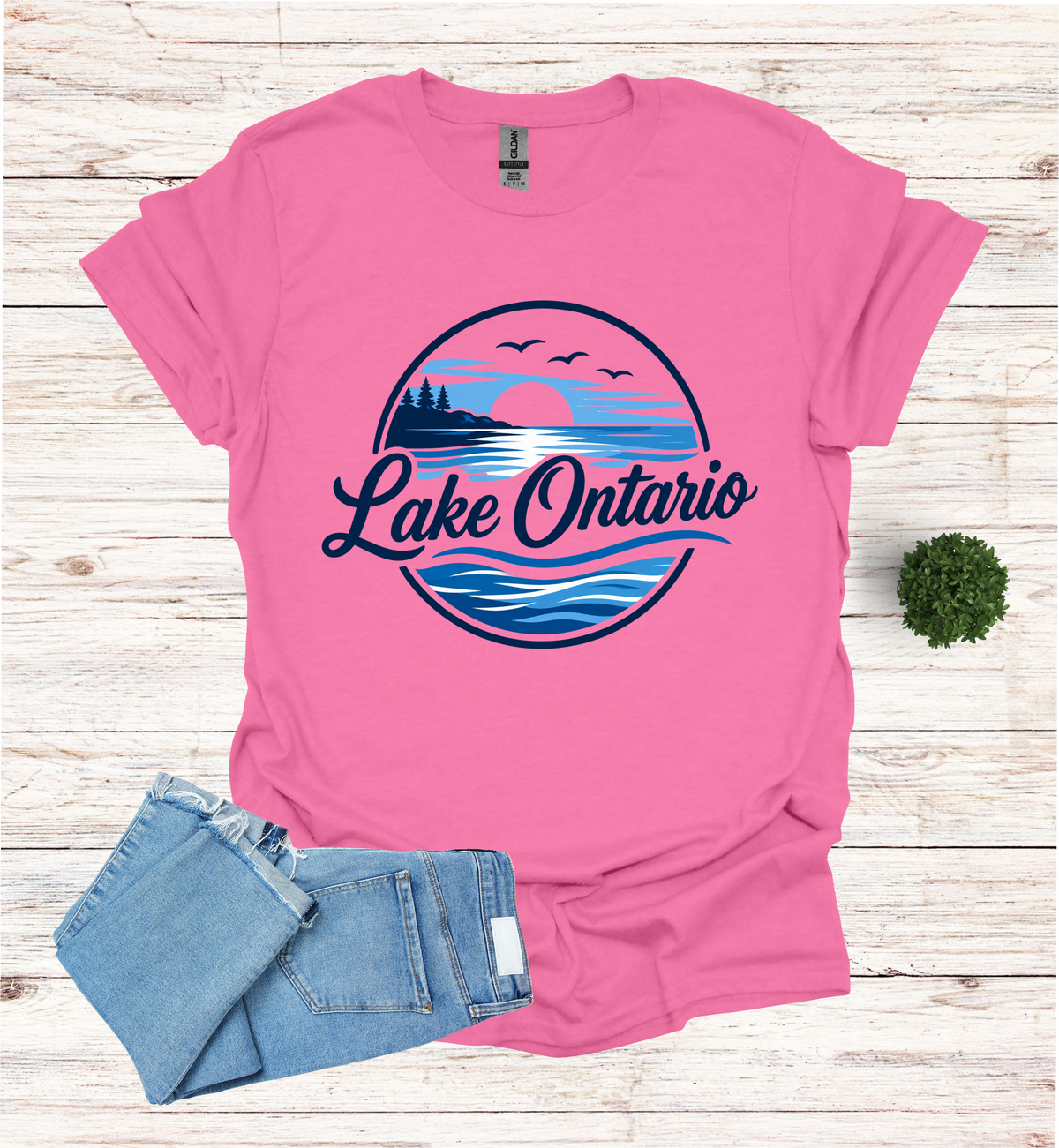 Lake Ontario Tee lake scene