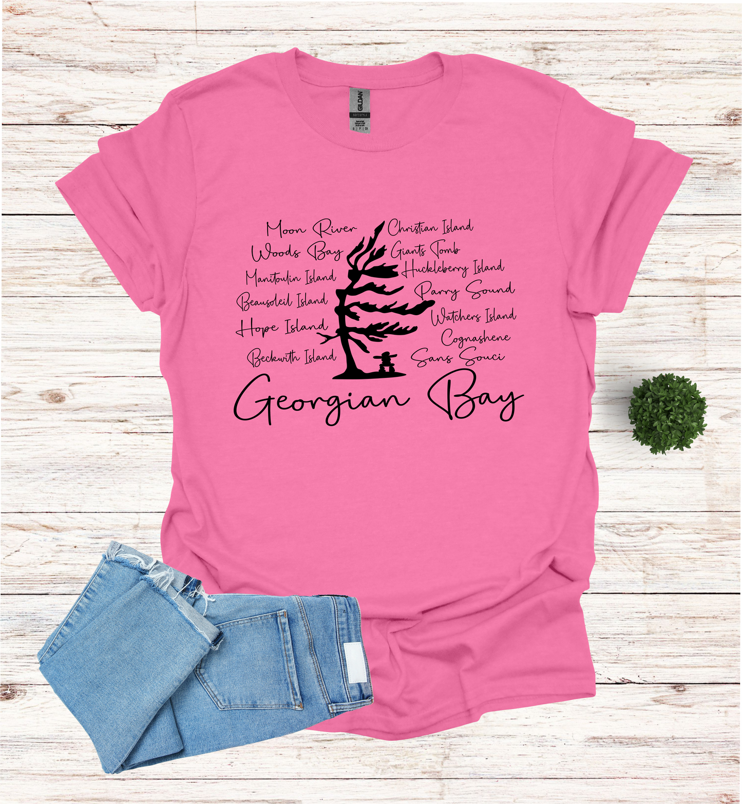 Georgian Bay with wind swept pine tree with Island and Bay names