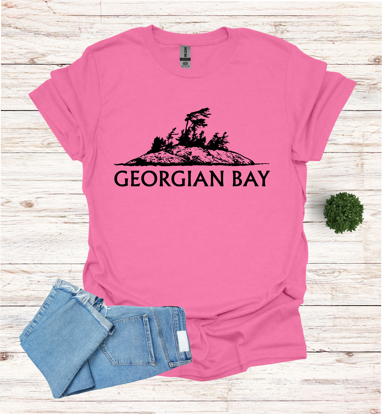 Georgian Bay with a Wind Swept pine tree on a rocky Island