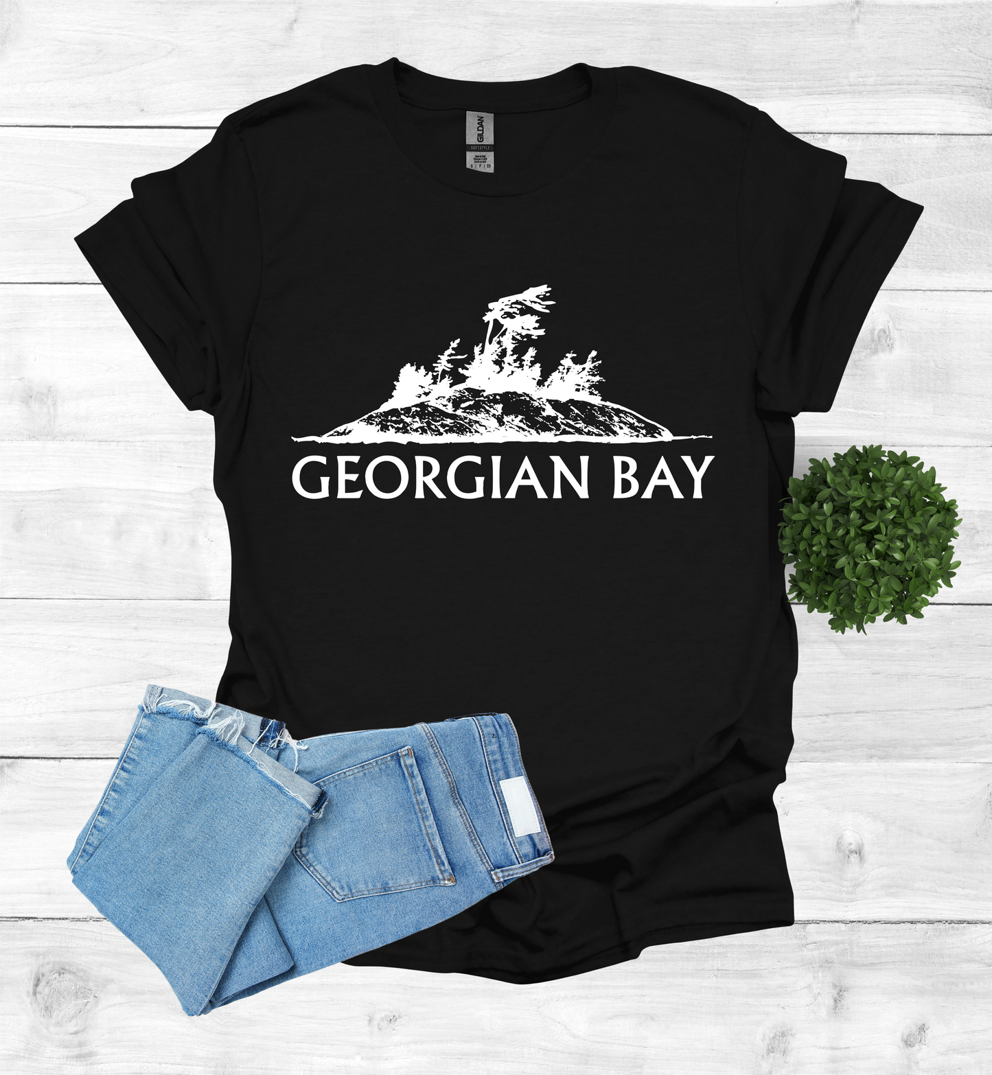 Georgian Bay with a Wind Swept pine tree on a rocky Island