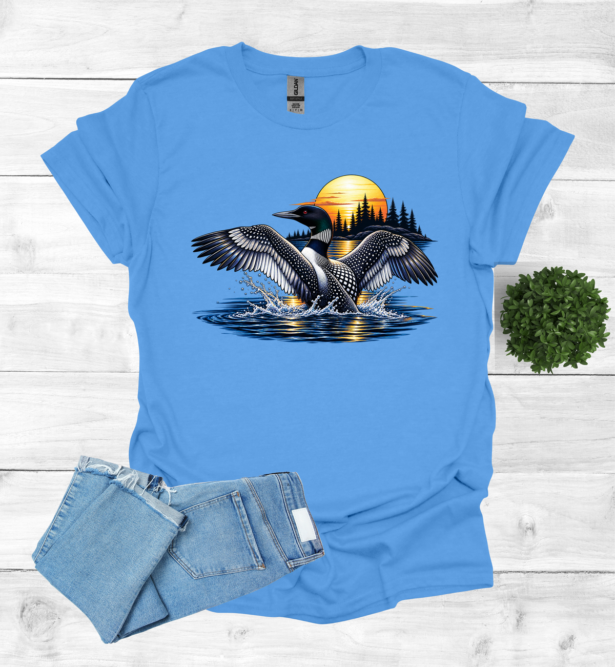 Loon flutters wings on the water