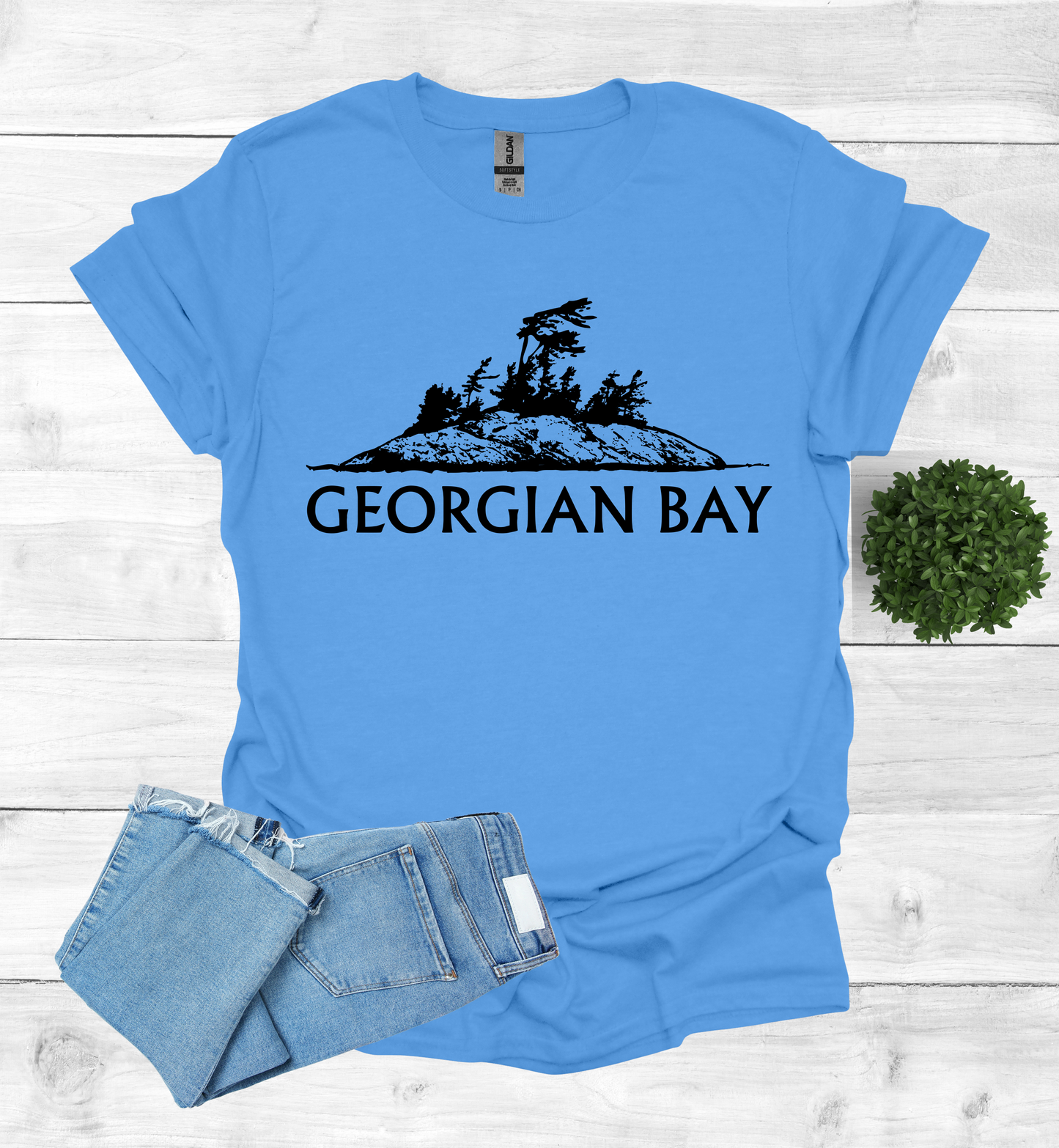 Georgian Bay with a Wind Swept pine tree on a rocky Island