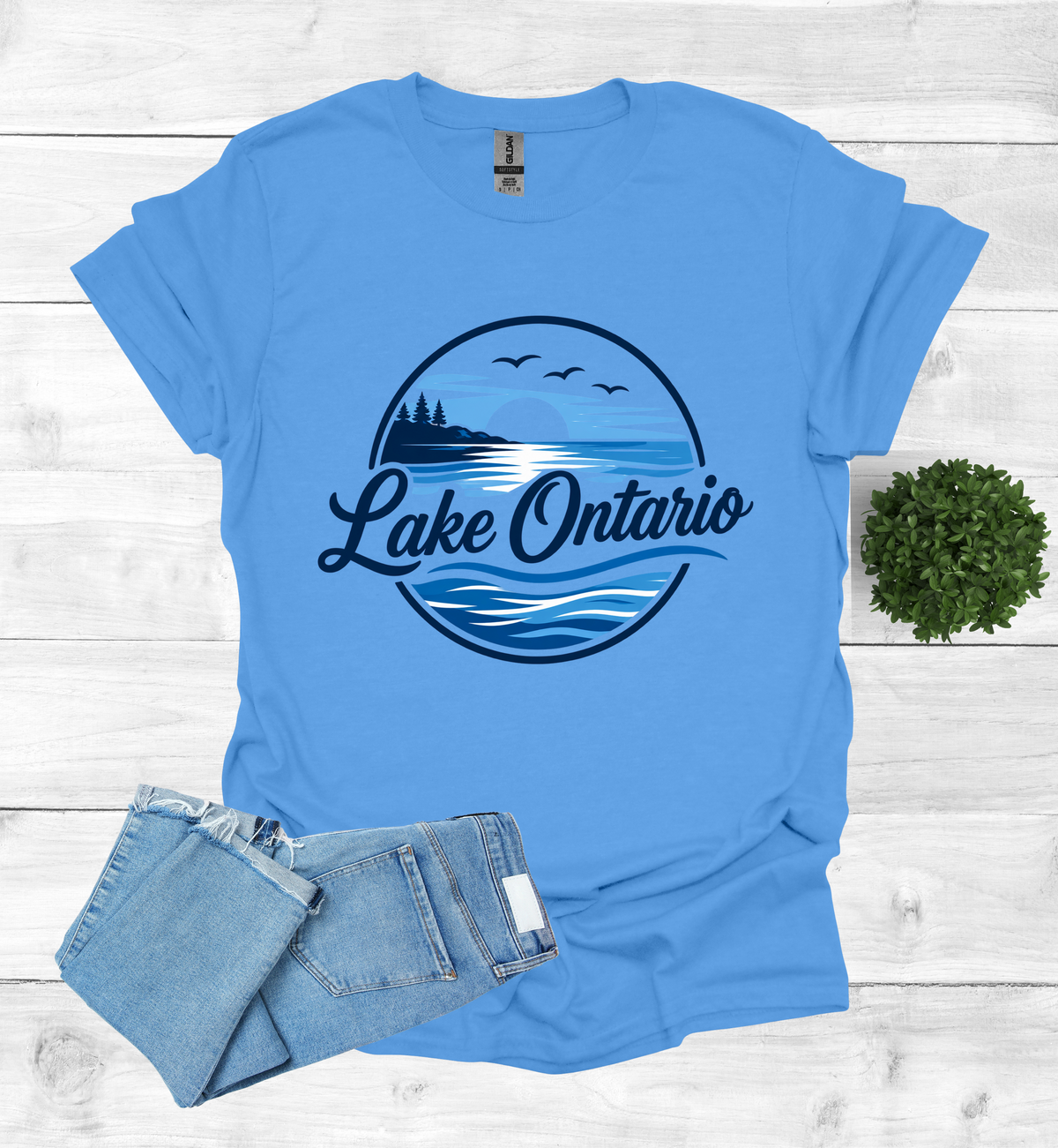 Lake Ontario Tee lake scene