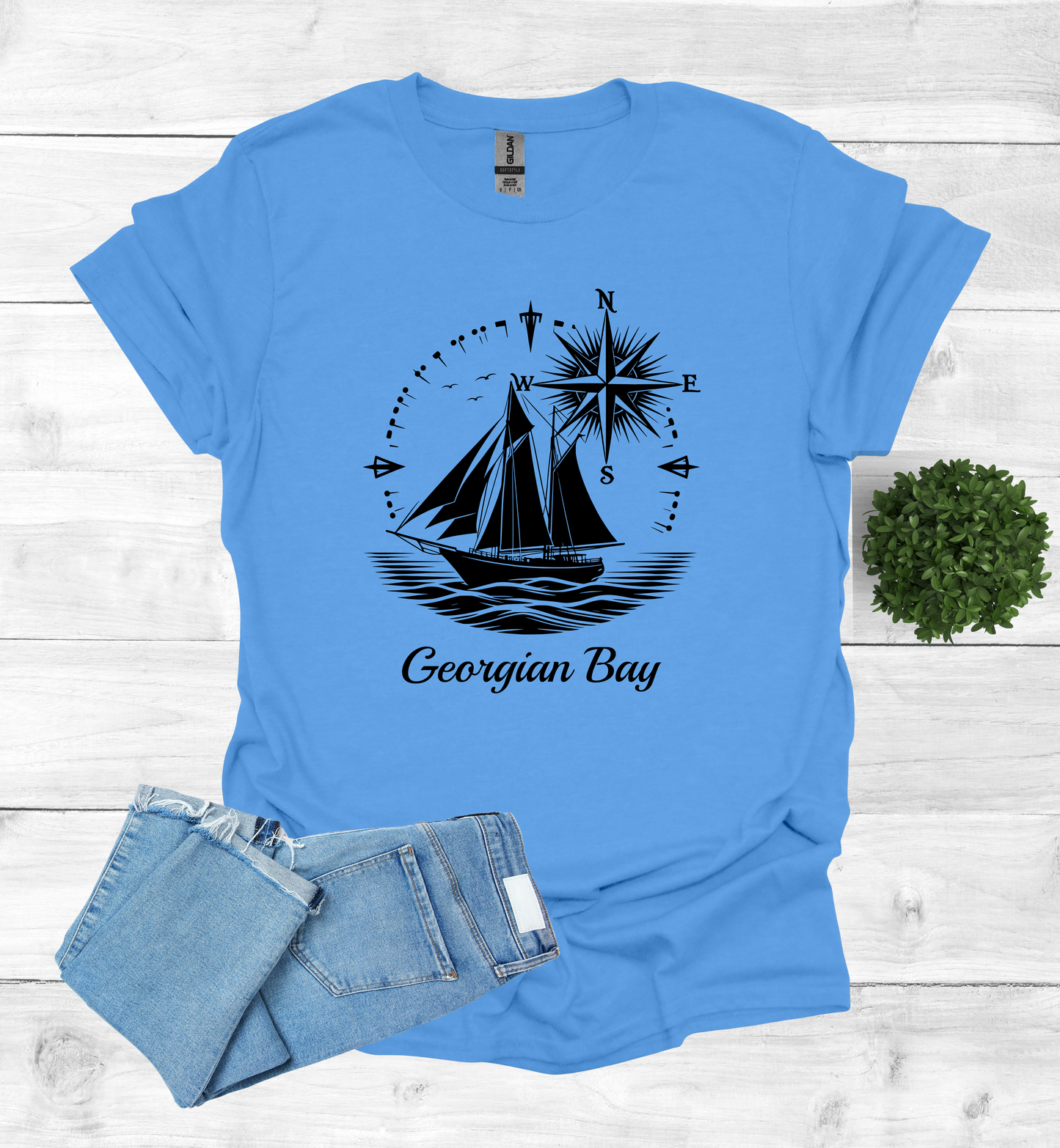 Sail Boat on Georgian Bay