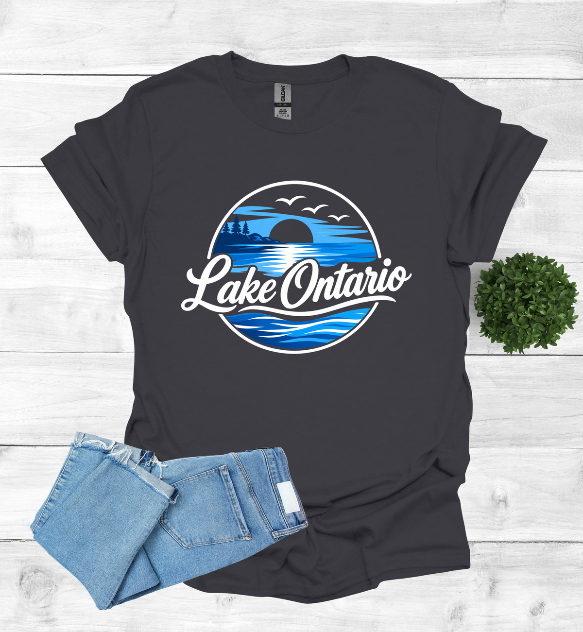 Lake Ontario Tee lake scene