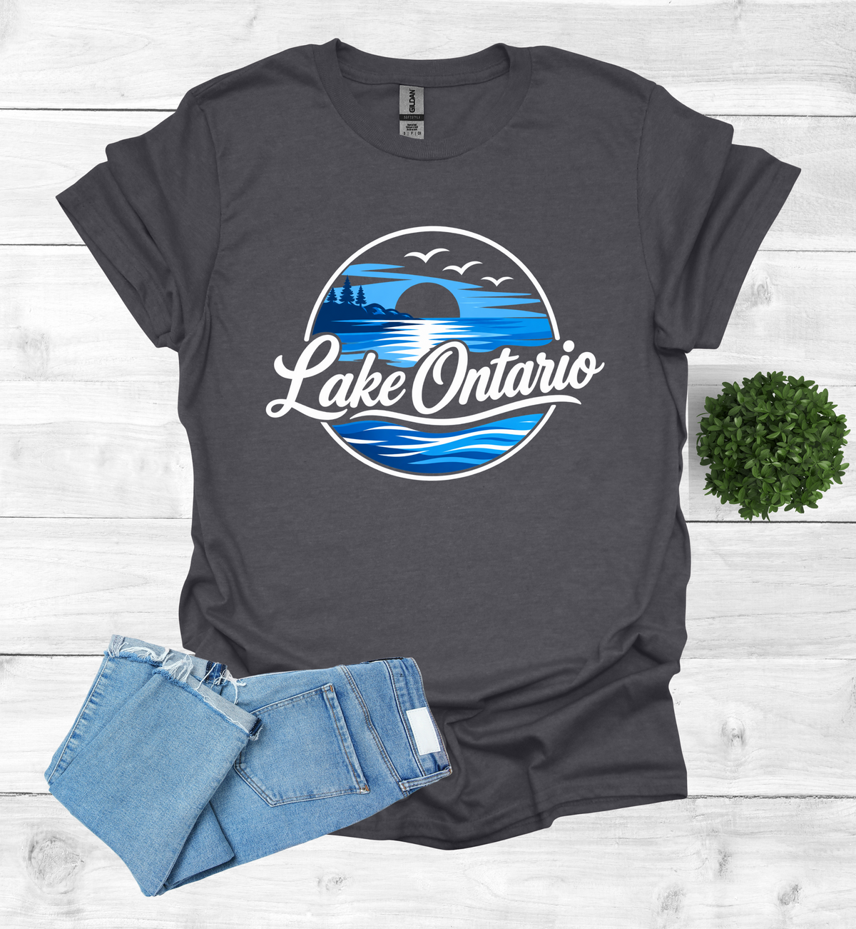Lake Ontario Tee lake scene