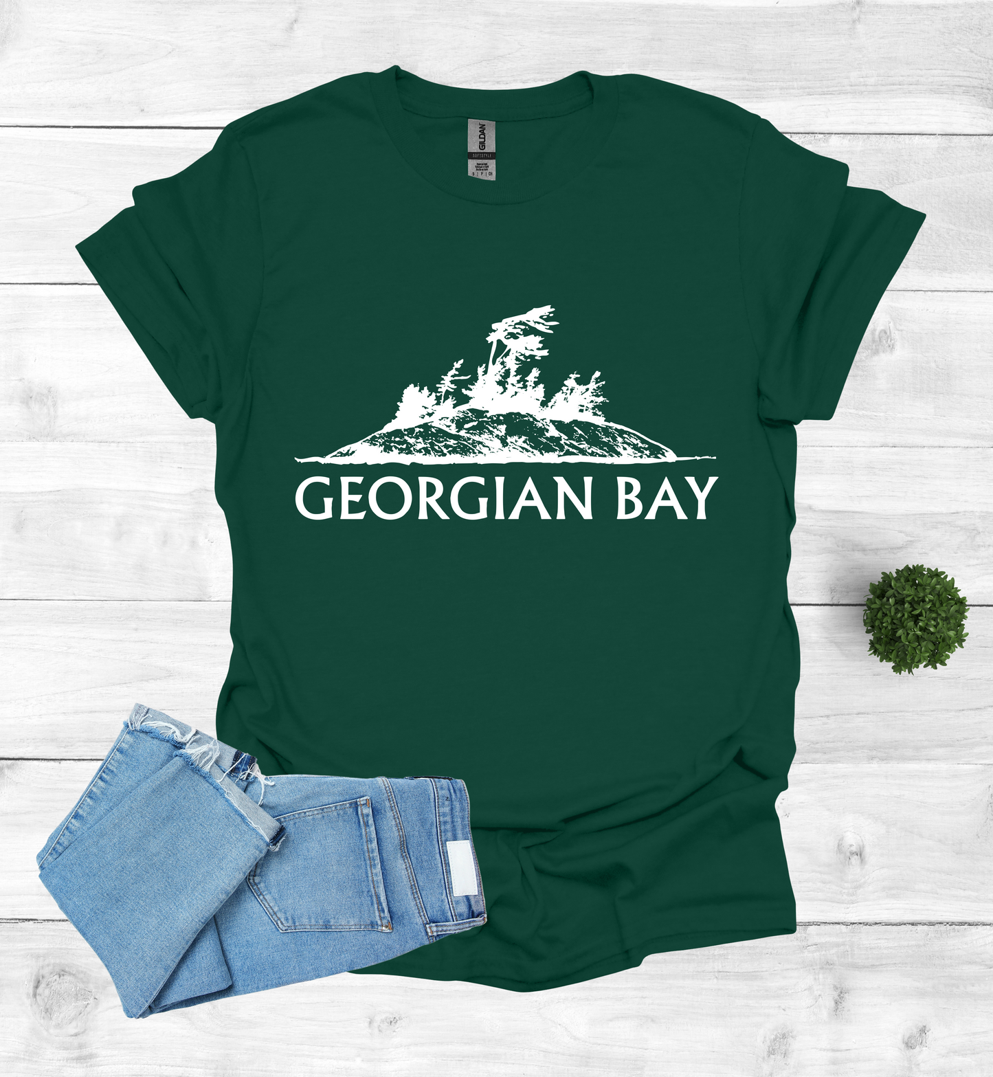 Georgian Bay with a Wind Swept pine tree on a rocky Island