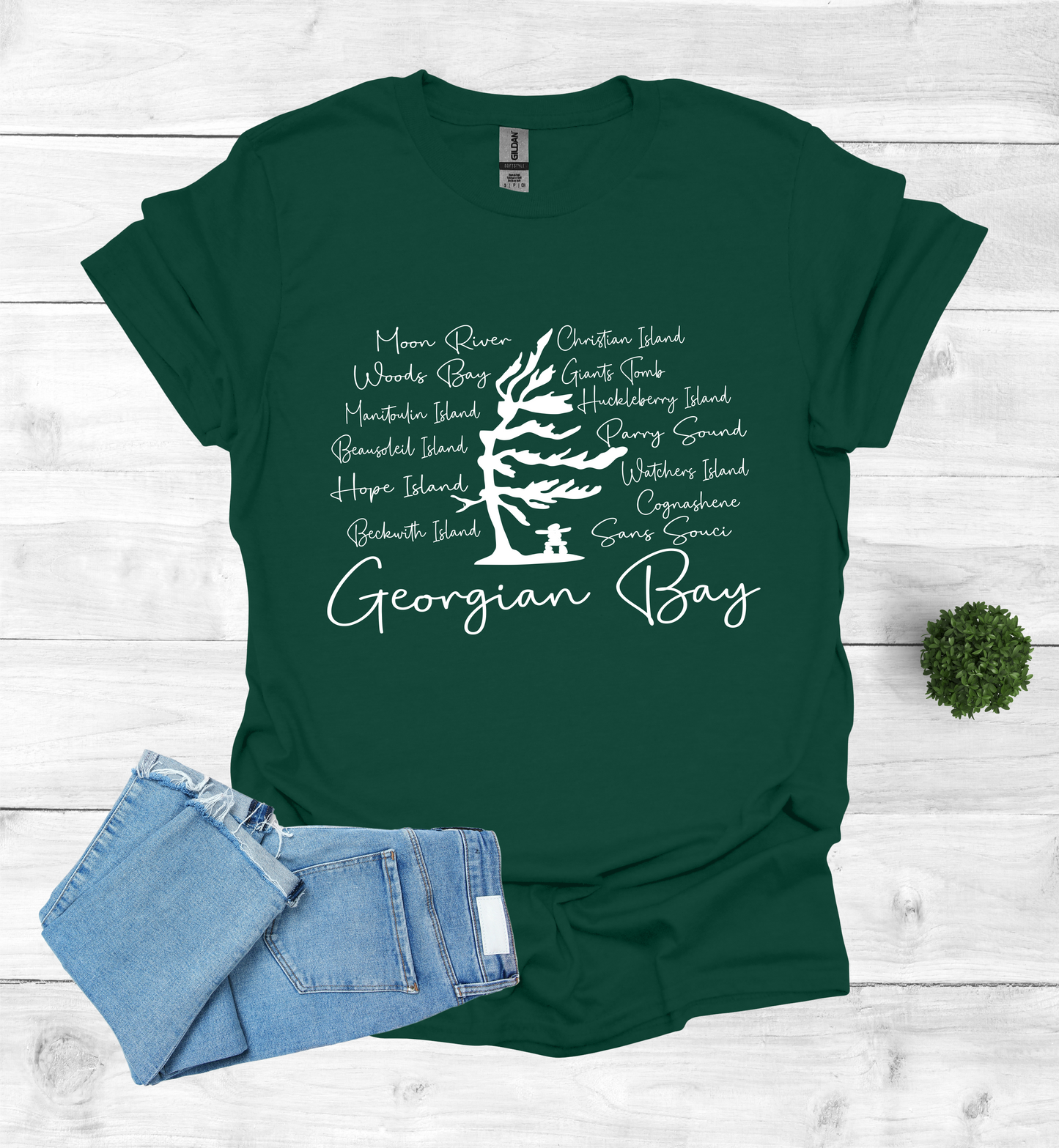 Georgian Bay with wind swept pine tree with Island and Bay names