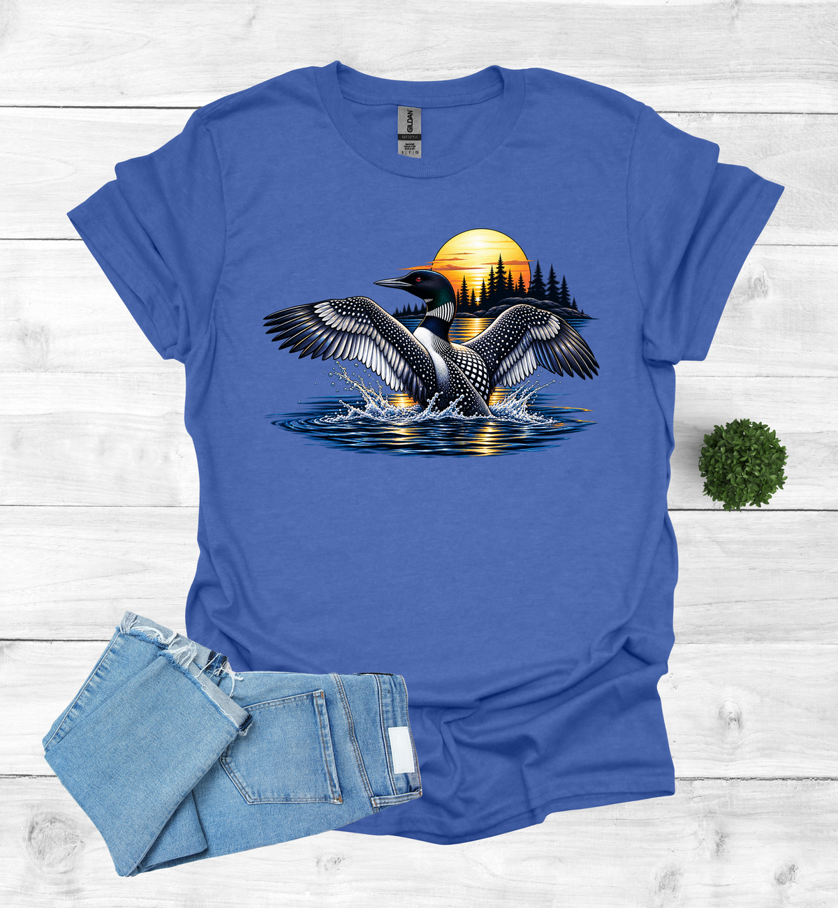 Loon flutters wings on the water
