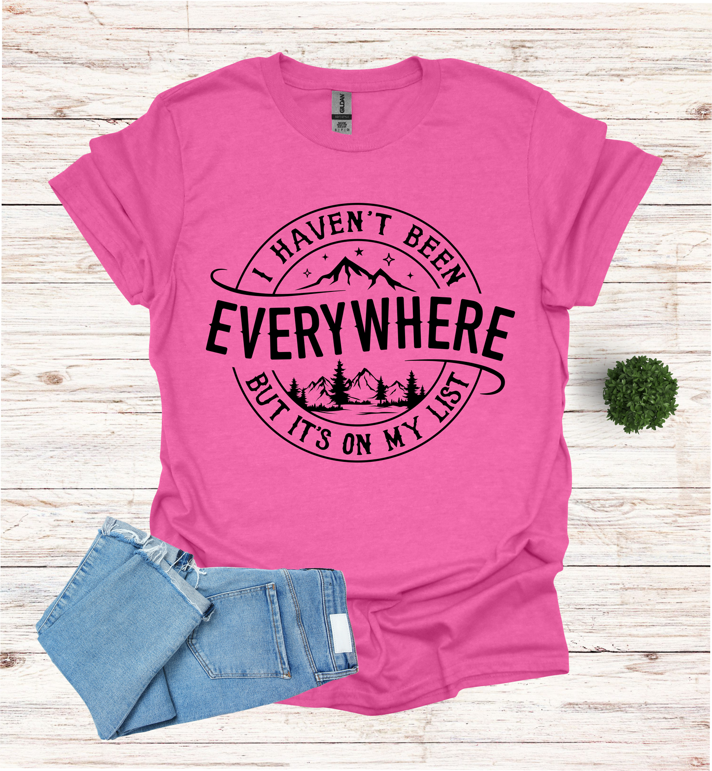 Haven't Been Everywhere but it's on My List T- Shirt