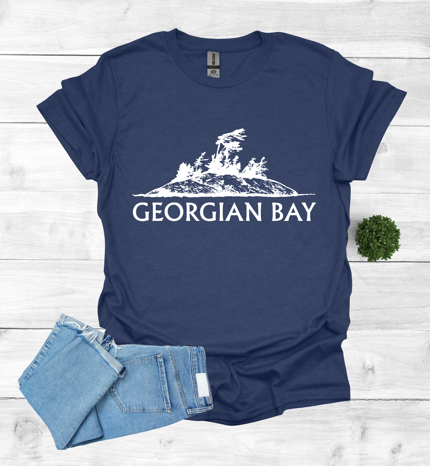 Georgian Bay with a Wind Swept pine tree on a rocky Island