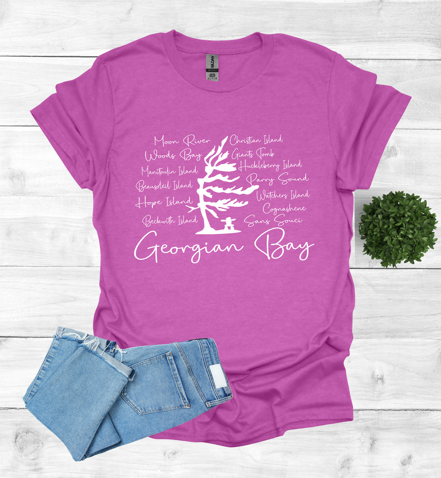 Georgian Bay with wind swept pine tree with Island and Bay names