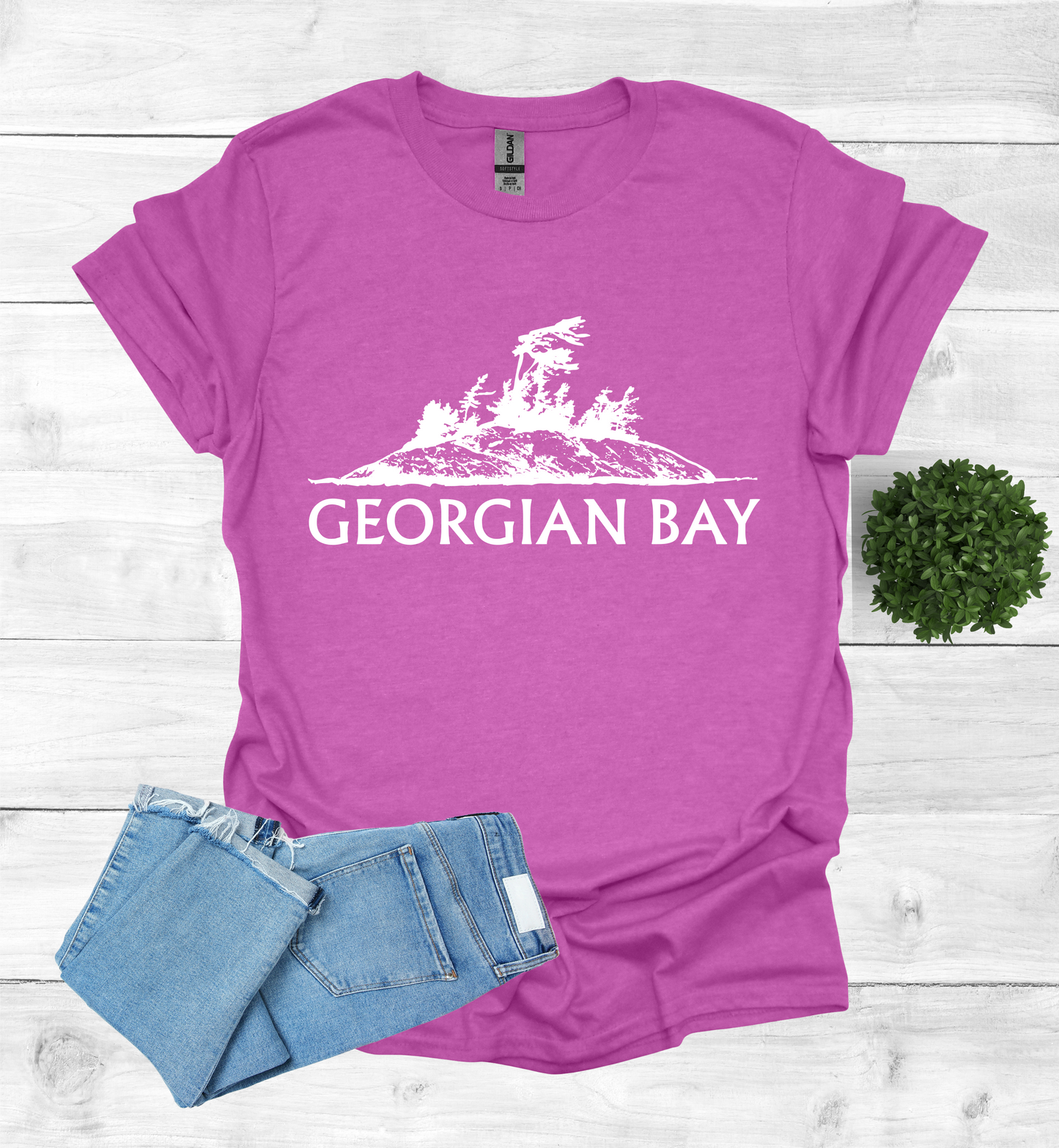 Georgian Bay with a Wind Swept pine tree on a rocky Island