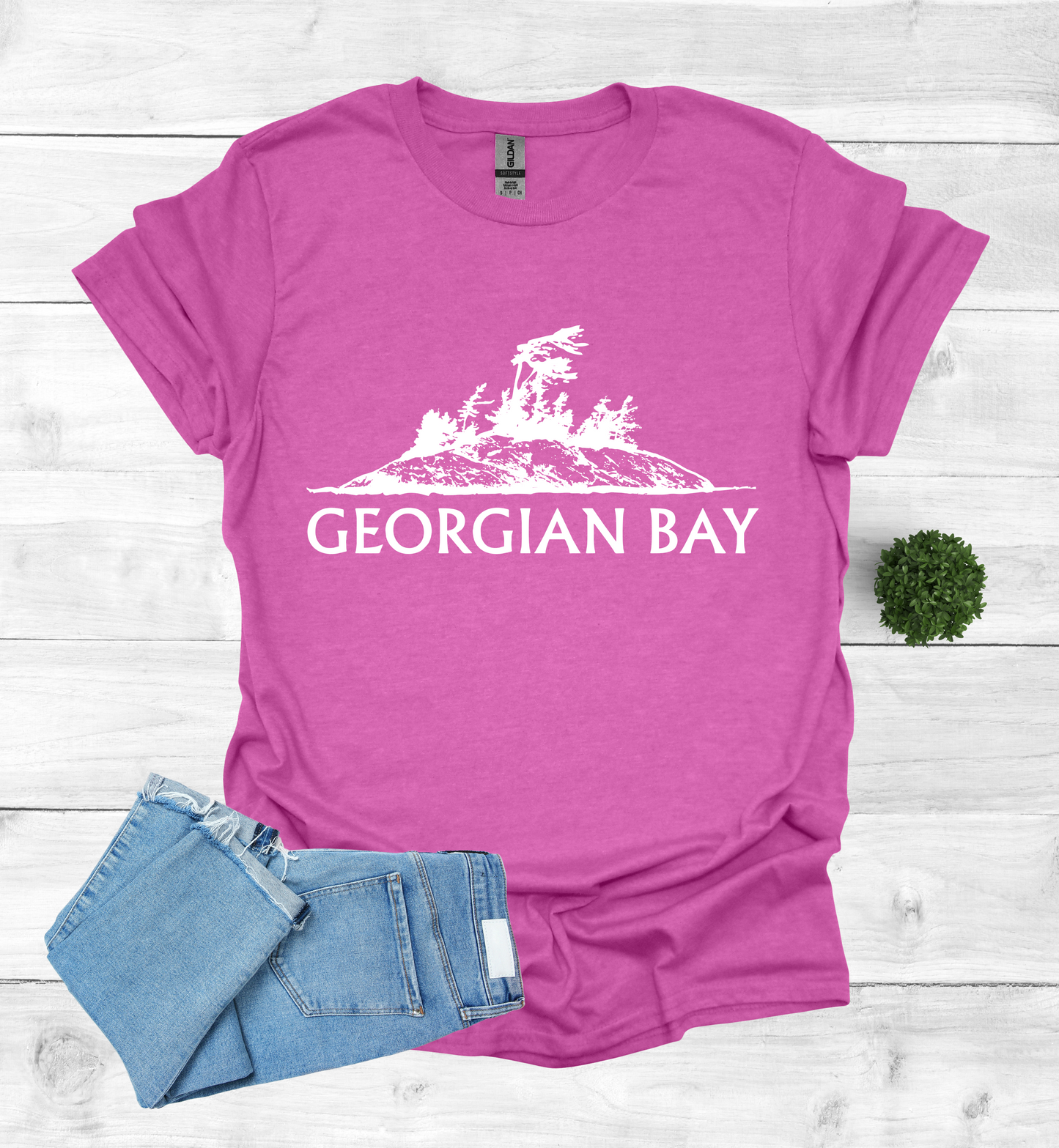 Georgian Bay with a Wind Swept pine tree on a rocky Island