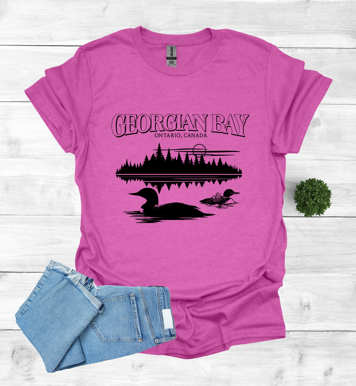 Georgian Bay with Loons T-Shirt