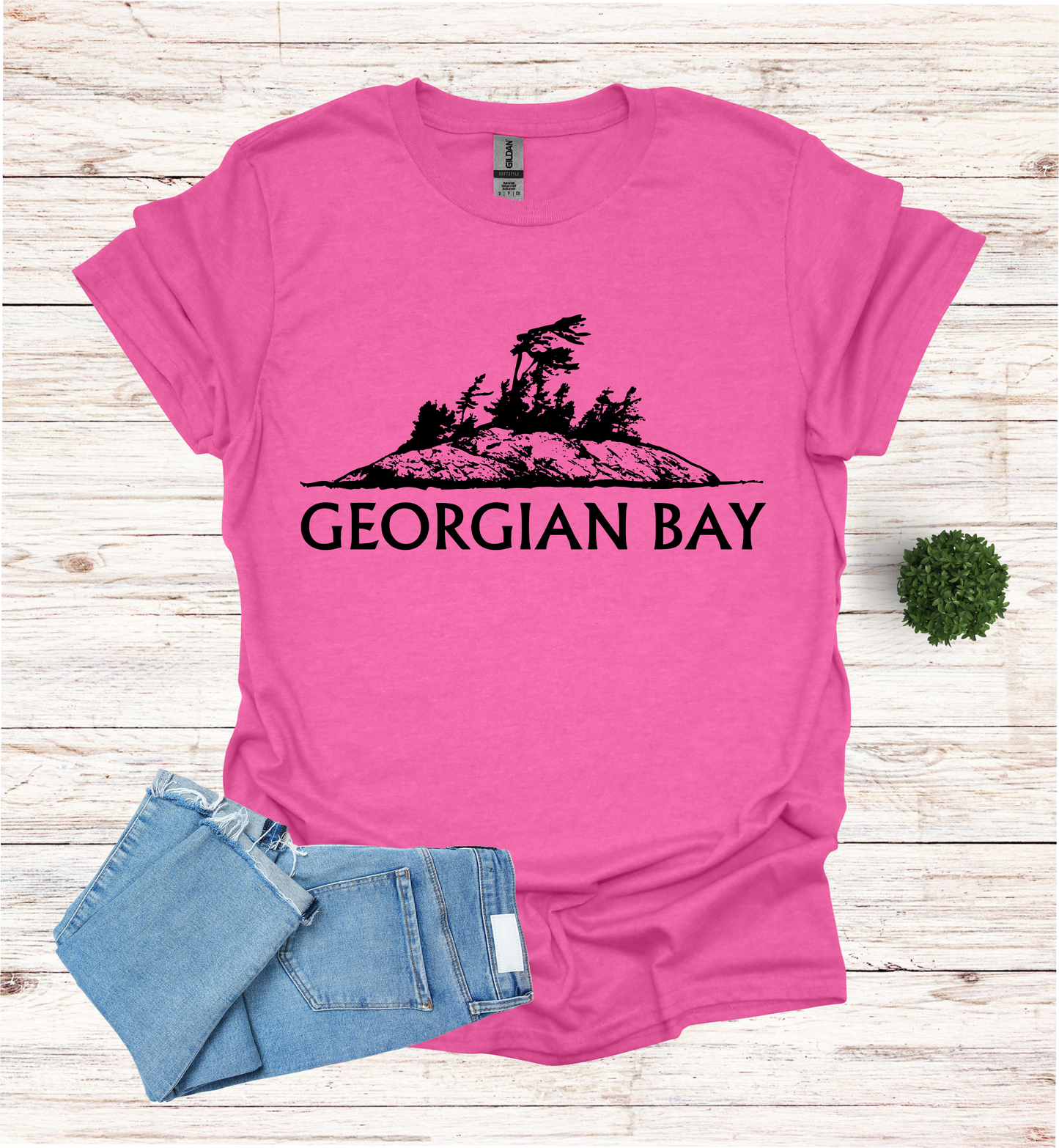 Georgian Bay with a Wind Swept pine tree on a rocky Island