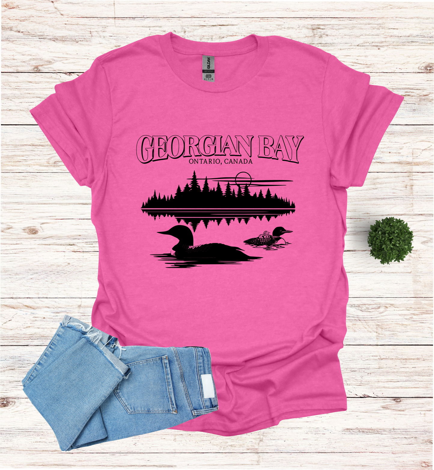 Georgian Bay with Loons T-Shirt