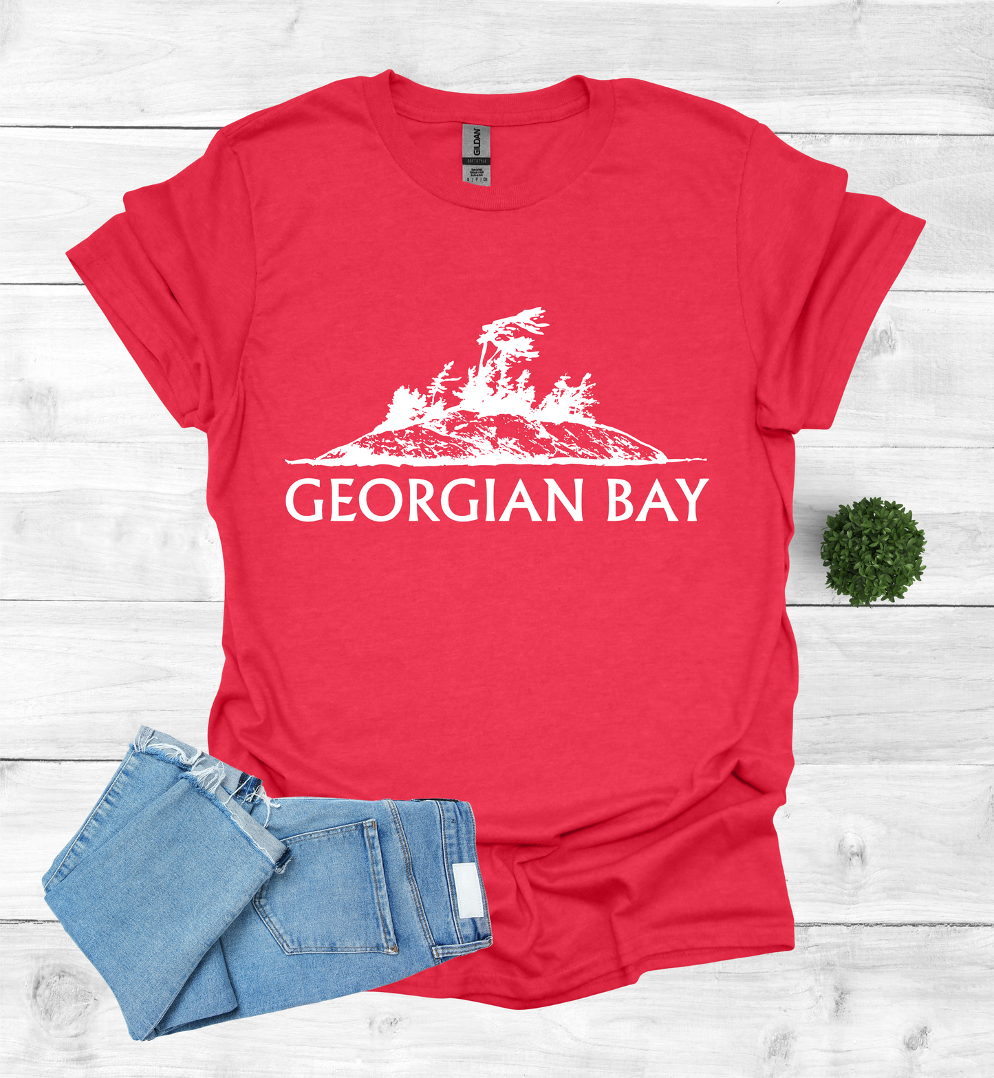 Georgian Bay with a Wind Swept pine tree on a rocky Island