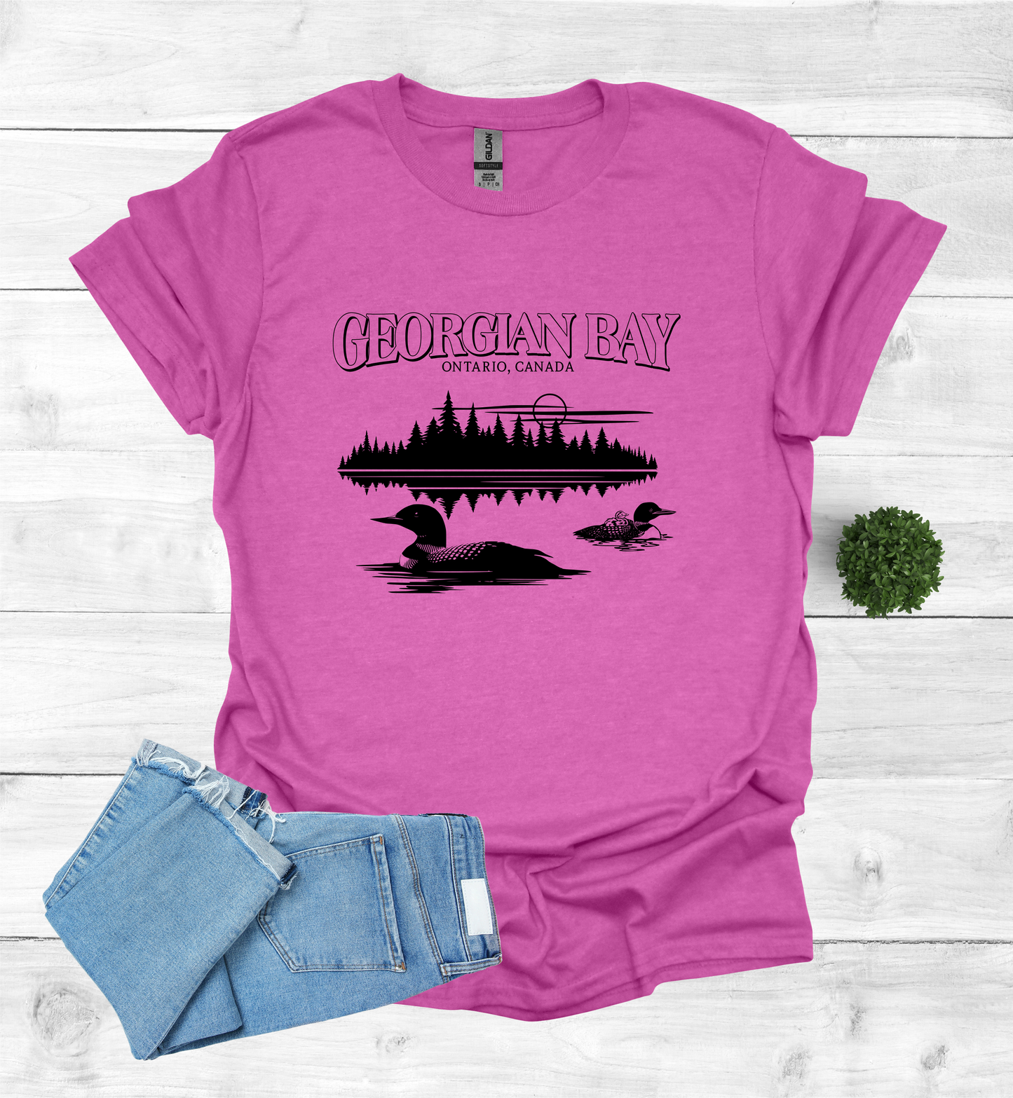 Georgian Bay with Loons T-Shirt