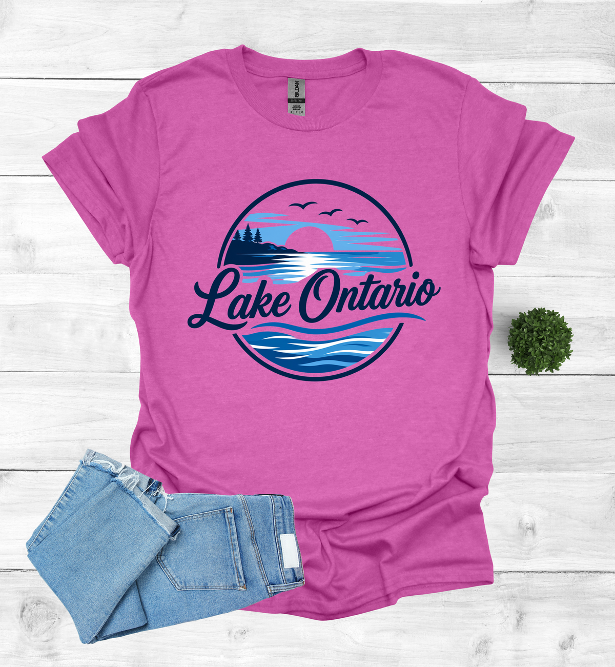 Lake Ontario Tee lake scene