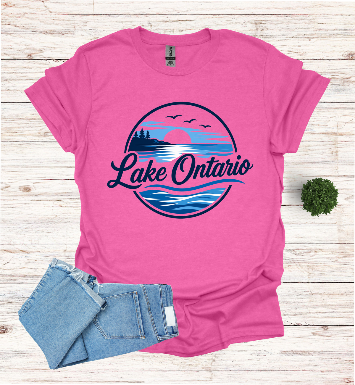 Lake Ontario Tee lake scene