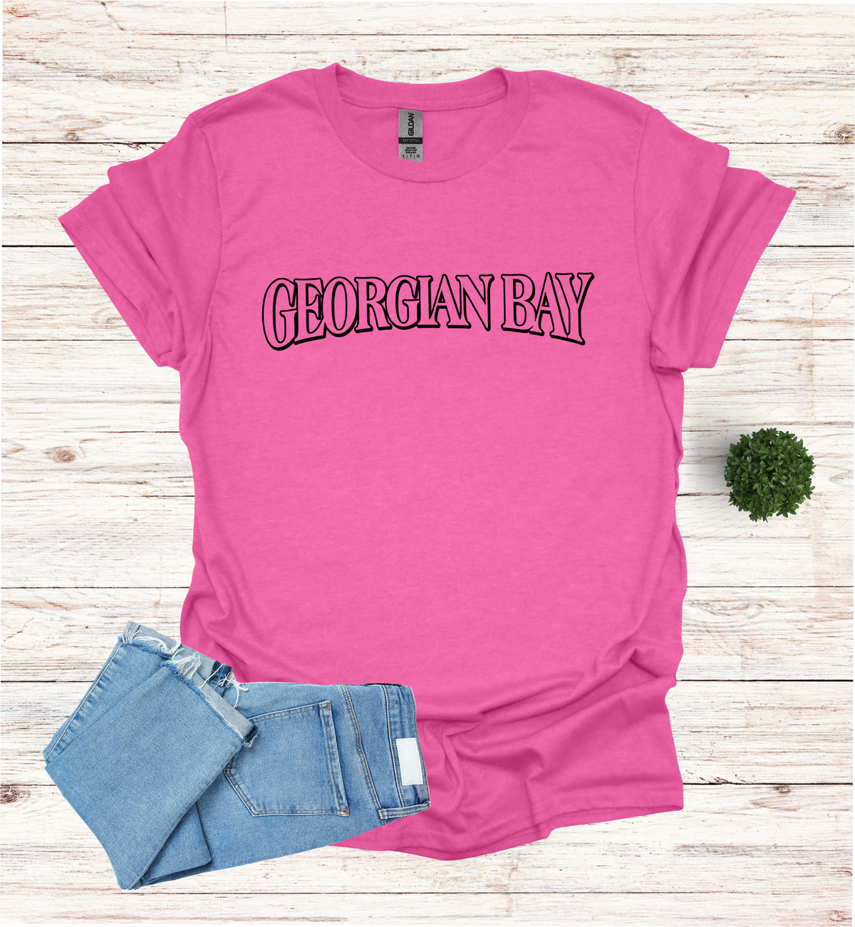 Georgian Bay T-Shirt