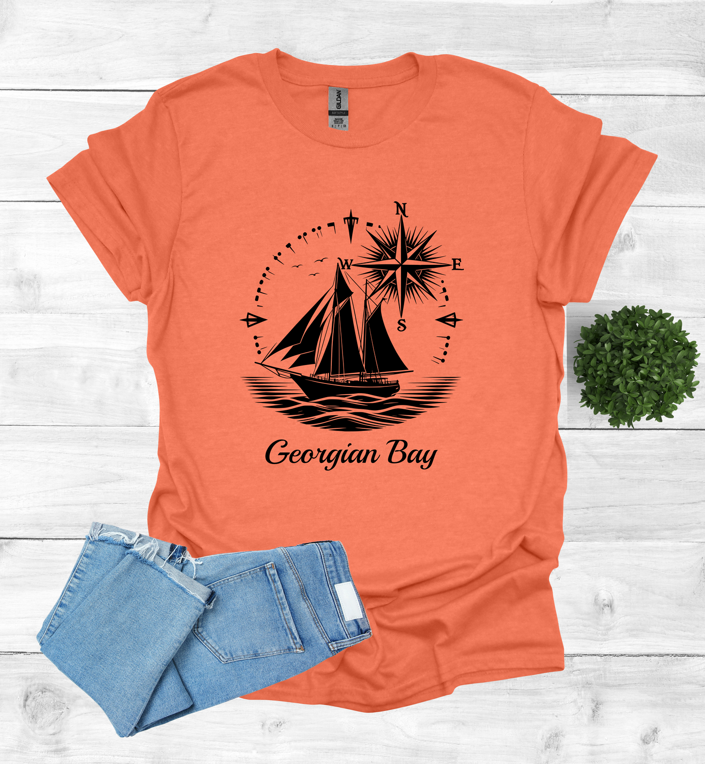 Sail Boat on Georgian Bay