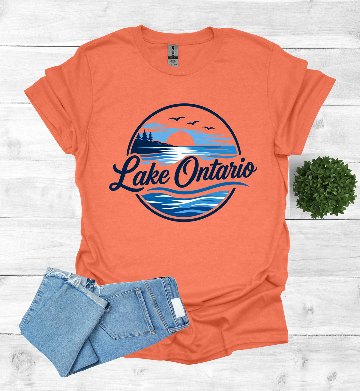 Lake Ontario Tee lake scene