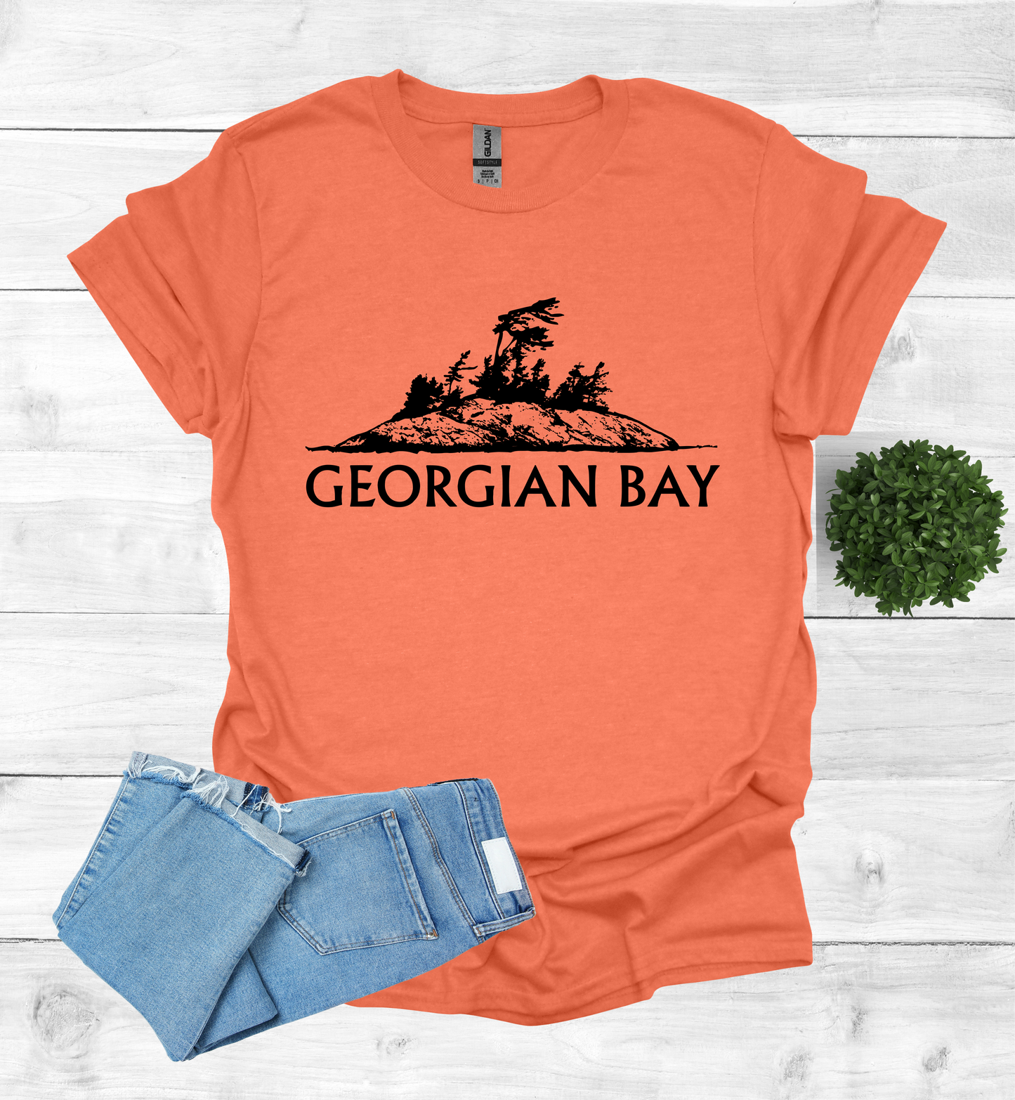 Georgian Bay with a Wind Swept pine tree on a rocky Island