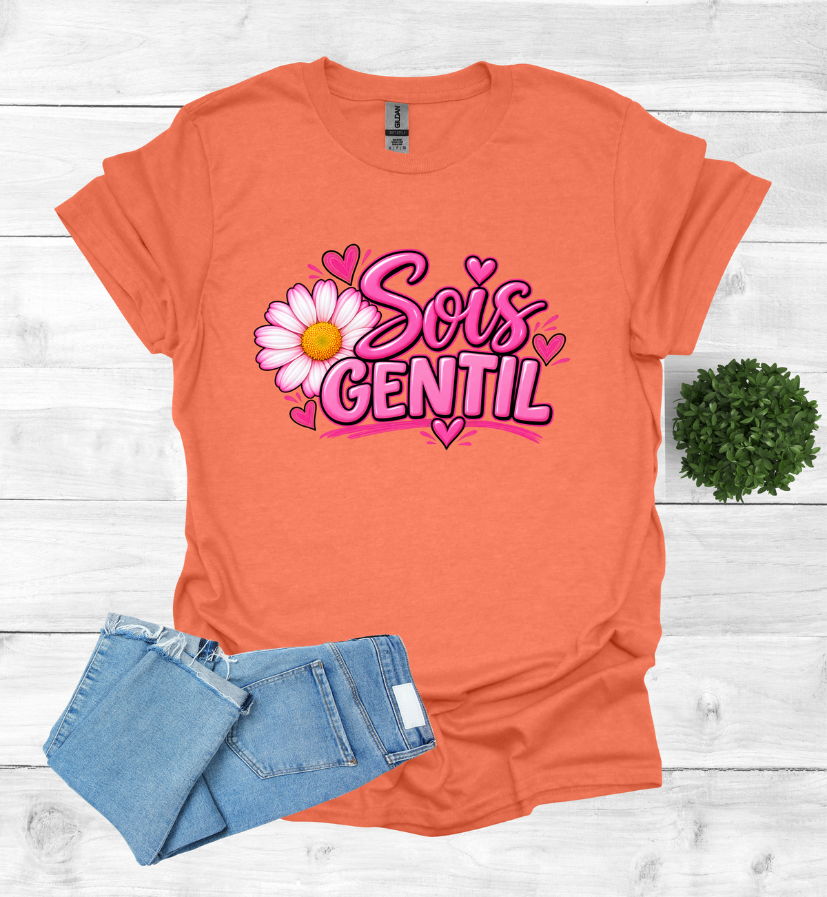 Sois Gentil, Be kind T-Shirt raising awareness