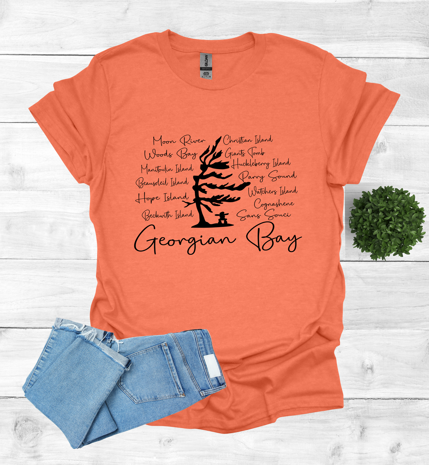 Georgian Bay with wind swept pine tree with Island and Bay names