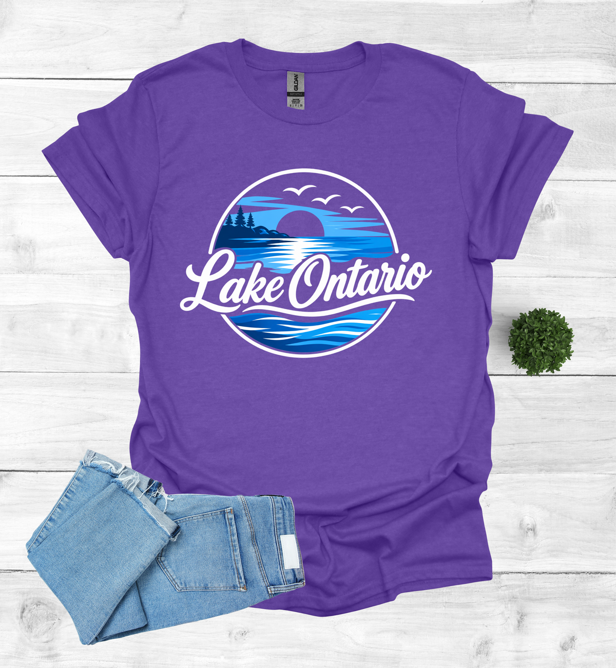 Lake Ontario Tee lake scene