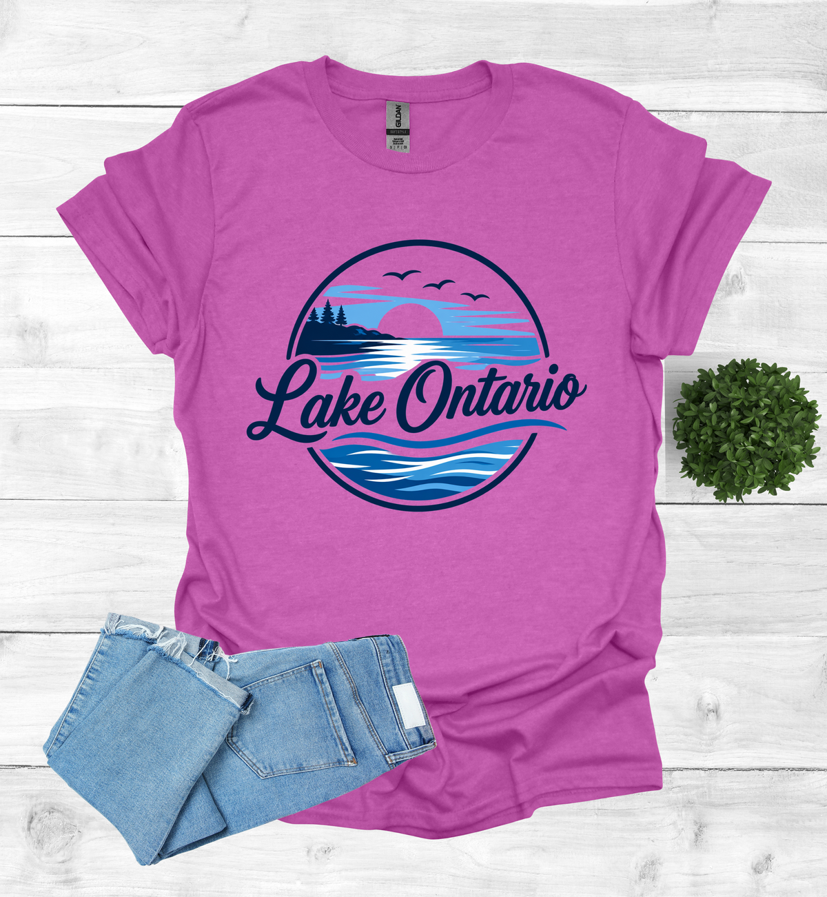 Lake Ontario Tee lake scene
