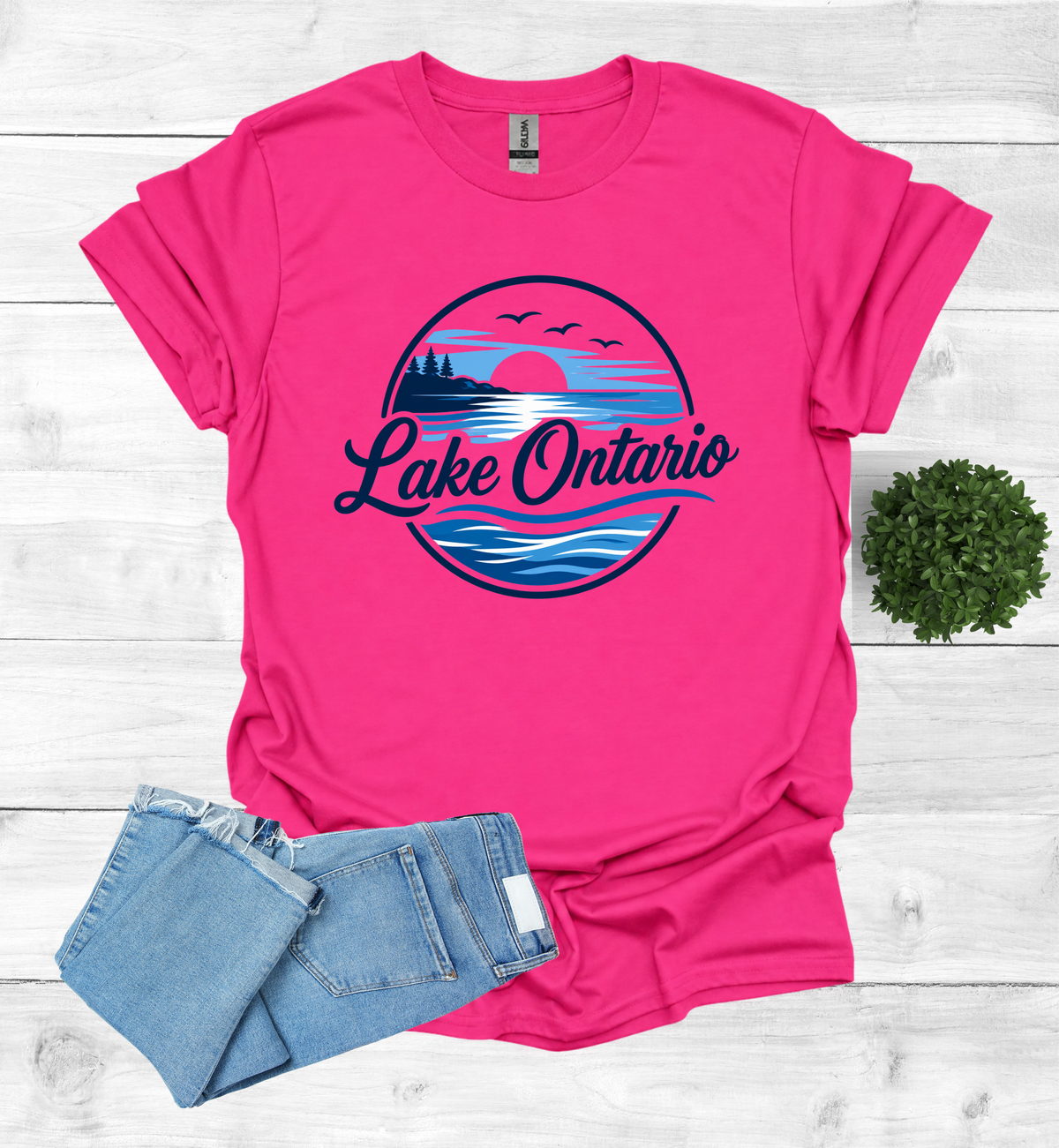 Lake Ontario Tee lake scene