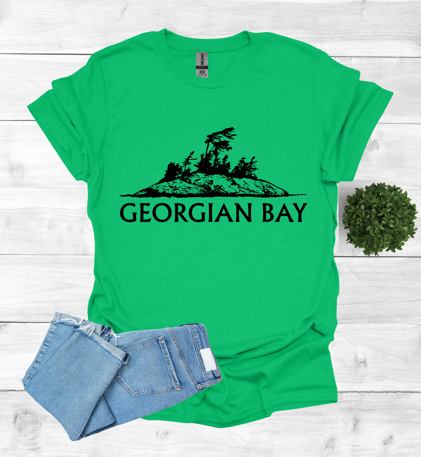 Georgian Bay with a Wind Swept pine tree on a rocky Island