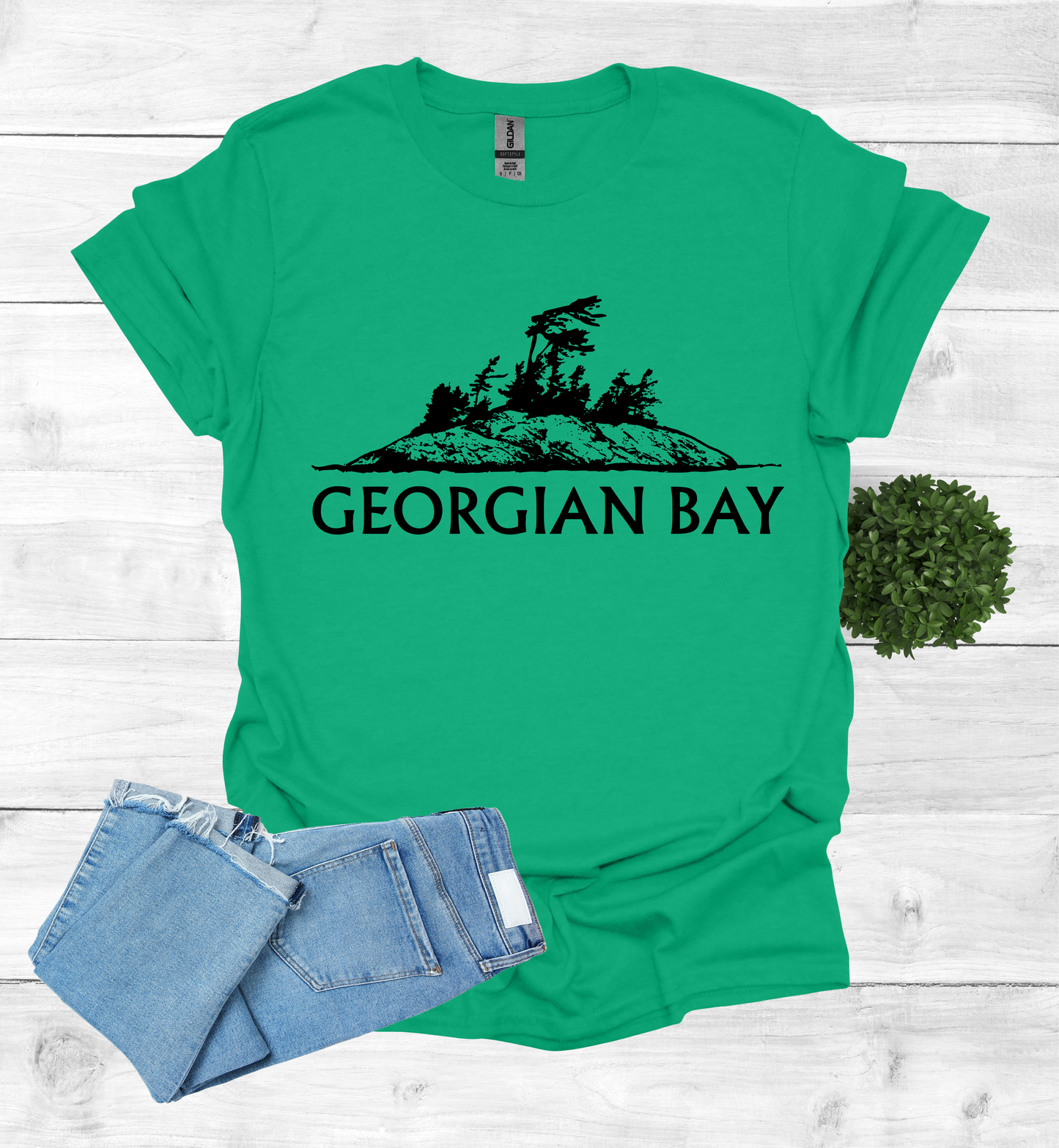 Georgian Bay with a Wind Swept pine tree on a rocky Island