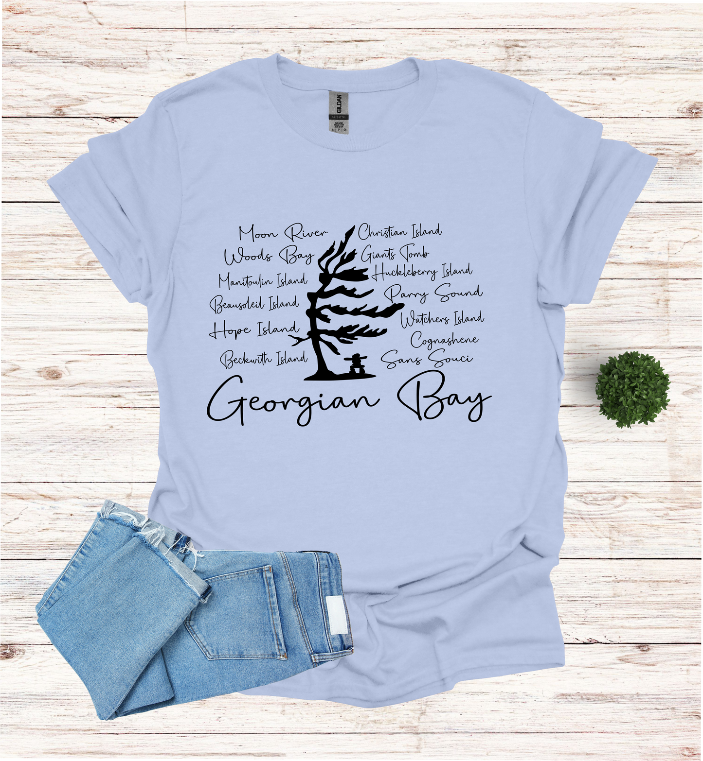 Georgian Bay with wind swept pine tree with Island and Bay names